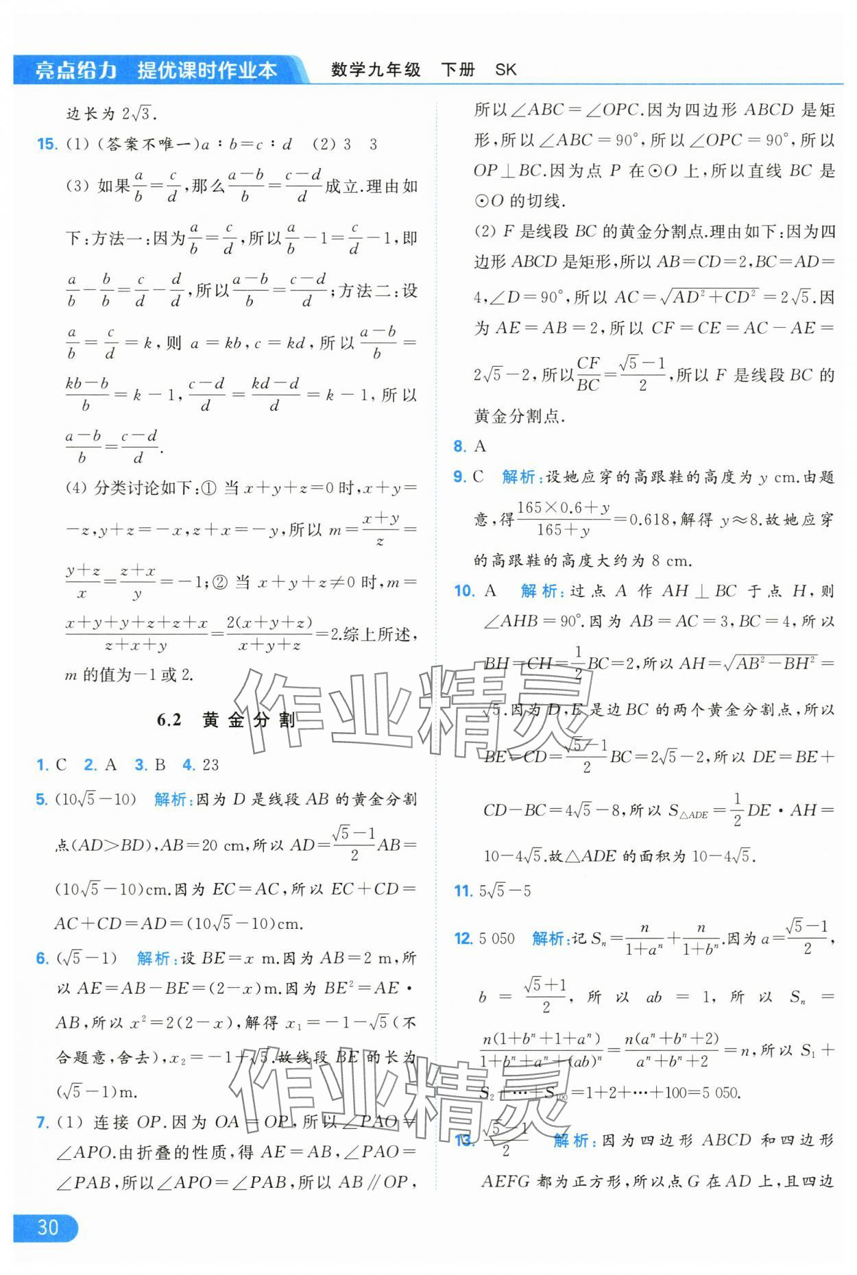 2024年亮點(diǎn)給力提優(yōu)課時(shí)作業(yè)本九年級(jí)數(shù)學(xué)下冊(cè)蘇科版 第30頁