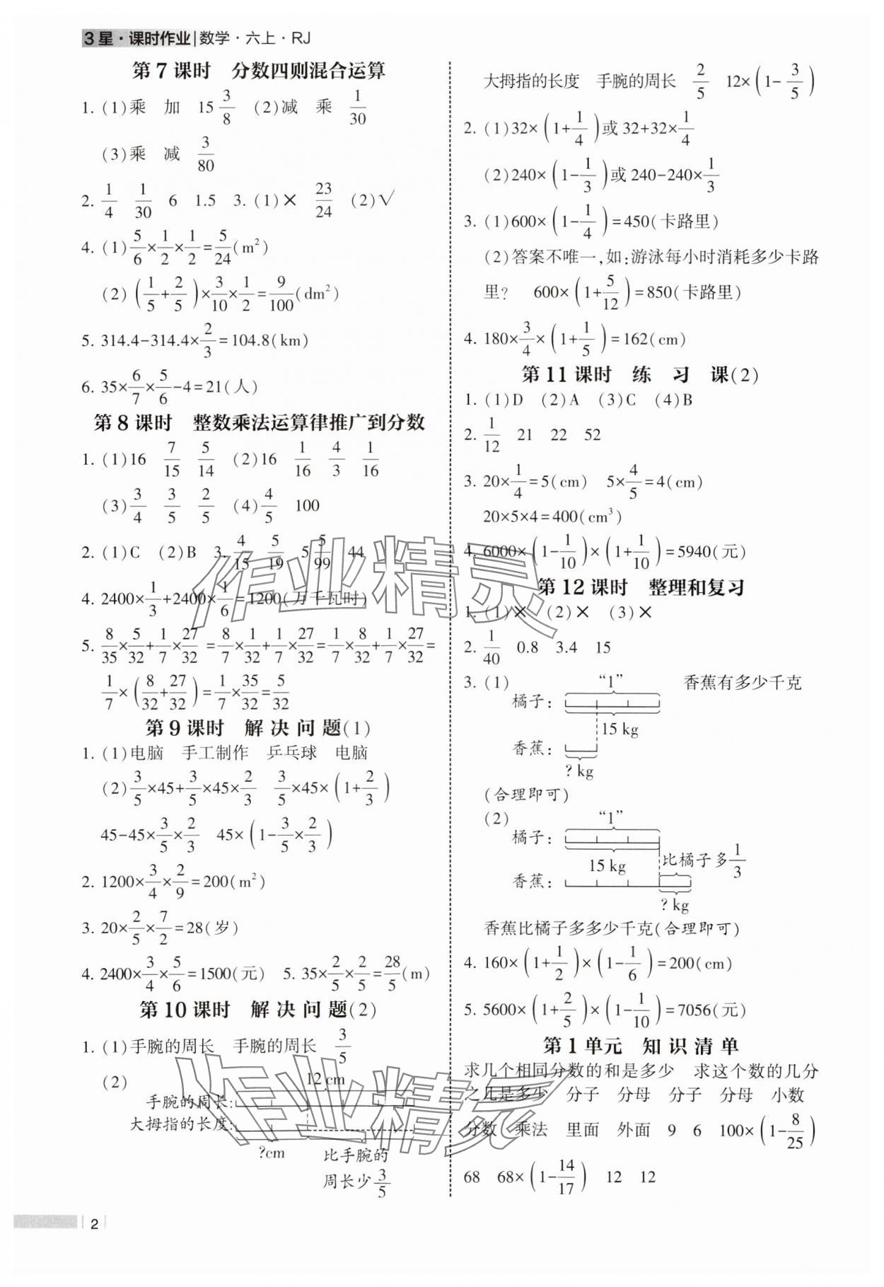 2024年经纶学典课时作业六年级数学上册人教版 参考答案第2页