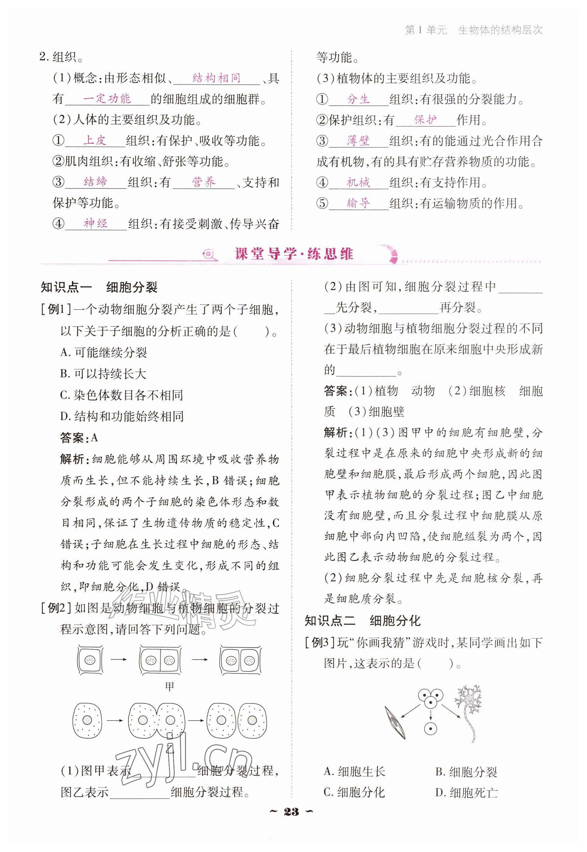 2026年云南省标准教辅优佳学案七年级历史上册人教版&nbsp;参考答案第23页