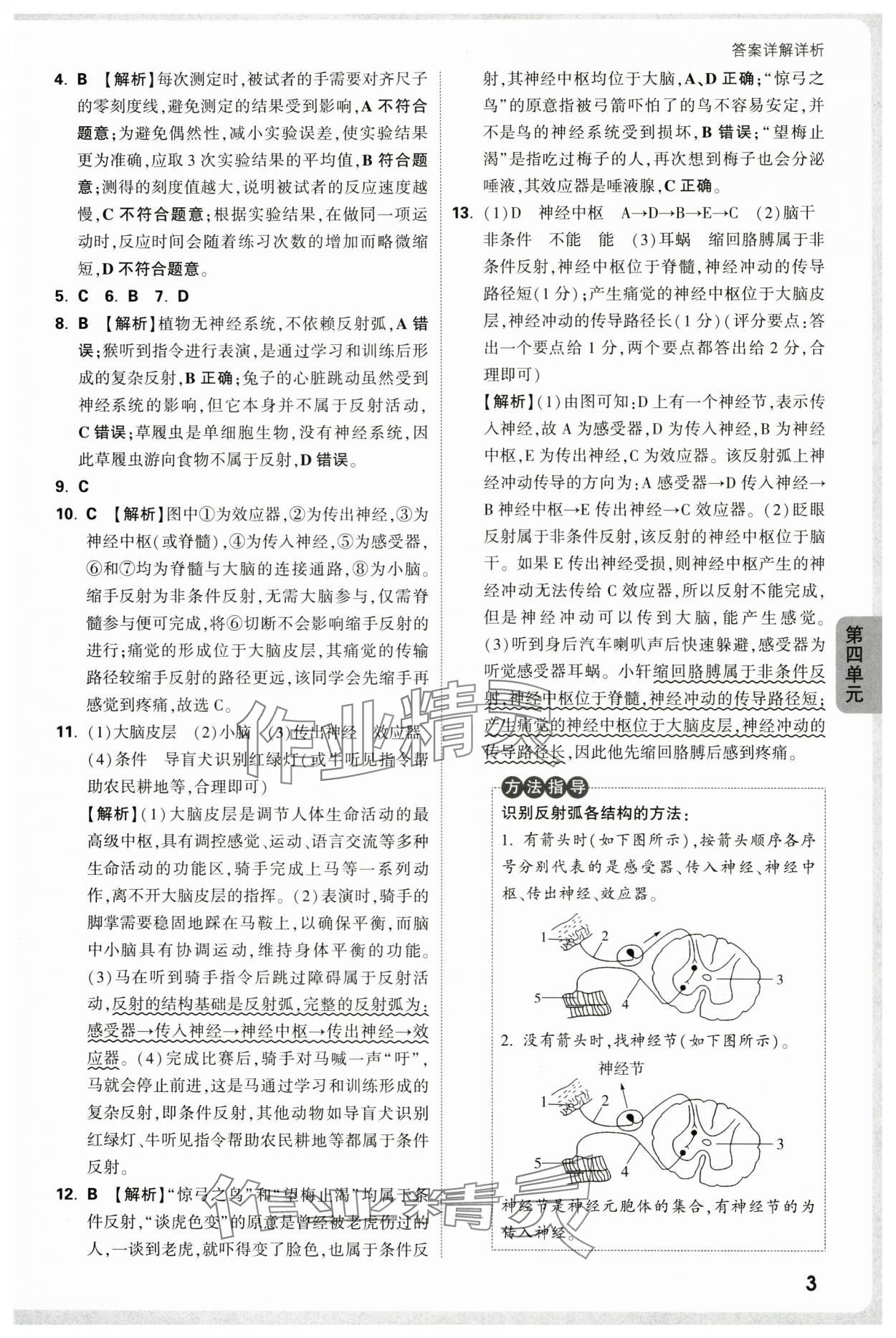 2025年万唯中考情境题八年级生物上册人教版河南专版&nbsp;参考答案第3页