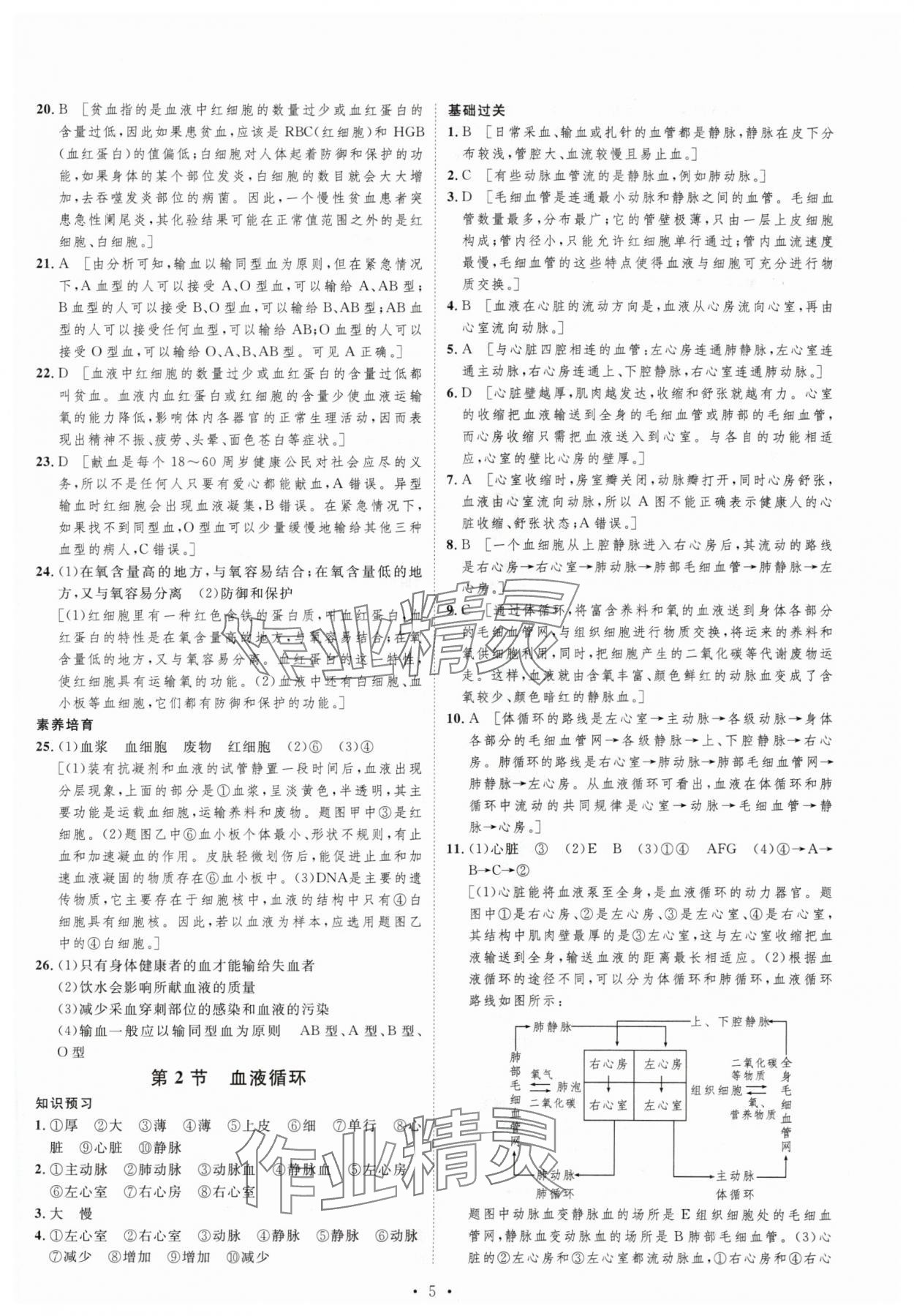 2024年思路教練同步課時作業(yè)七年級生物下冊北師大版 第5頁