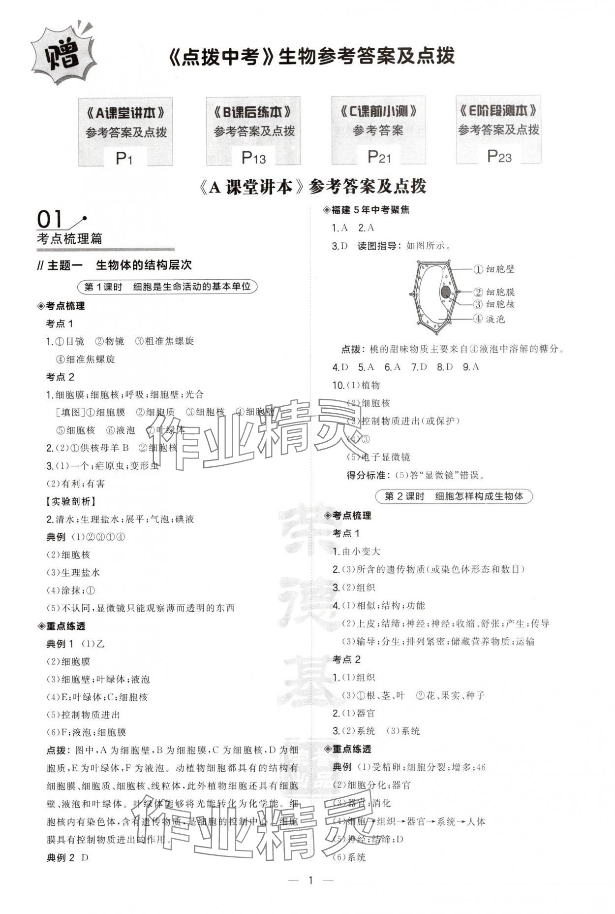 2025年榮德基點(diǎn)撥中考生物福建專版 第1頁