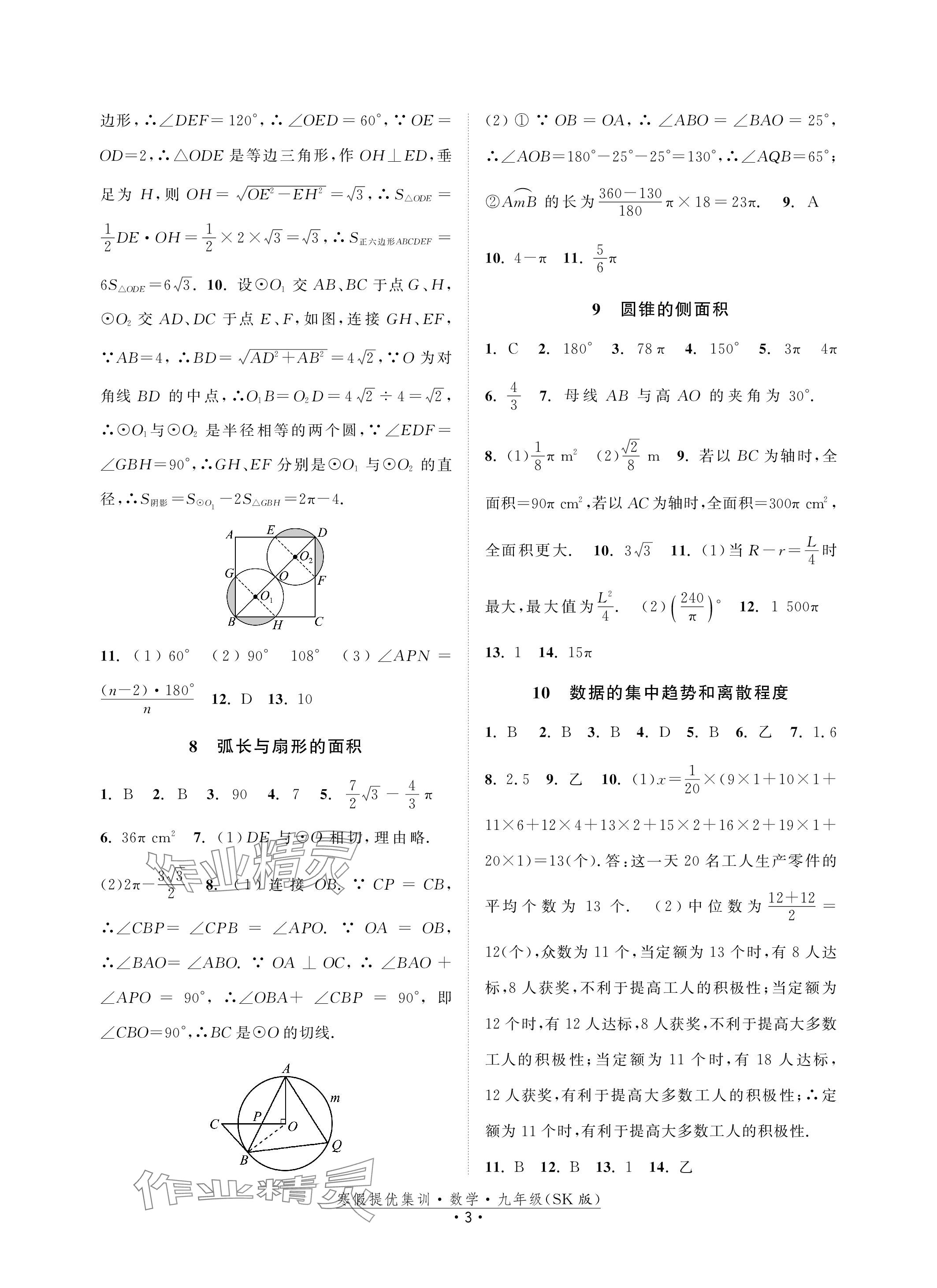 2024年寒假提優(yōu)集訓(xùn)20天九年級數(shù)學(xué)蘇科版 參考答案第3頁