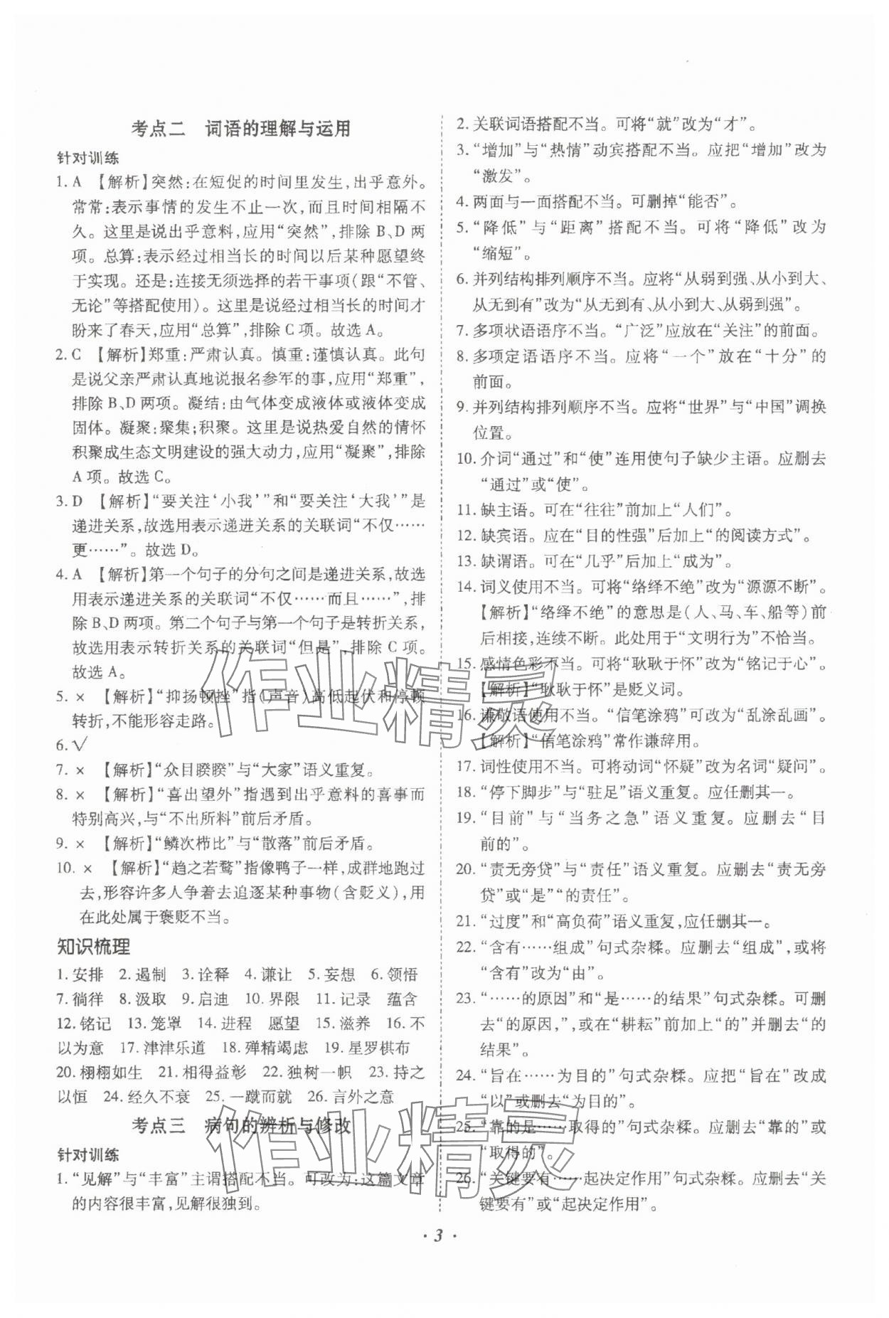 2024年本土攻略精準(zhǔn)復(fù)習(xí)方案語文云南專版 參考答案第3頁