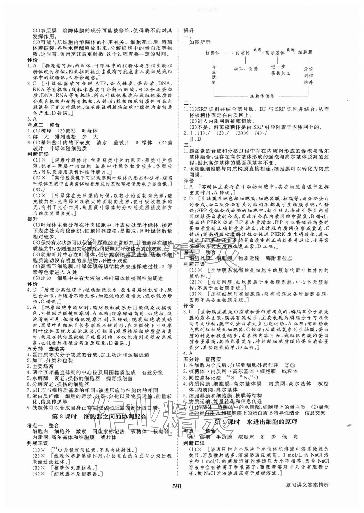 2025年步步高大一輪復(fù)習(xí)講義生物人教版 第5頁