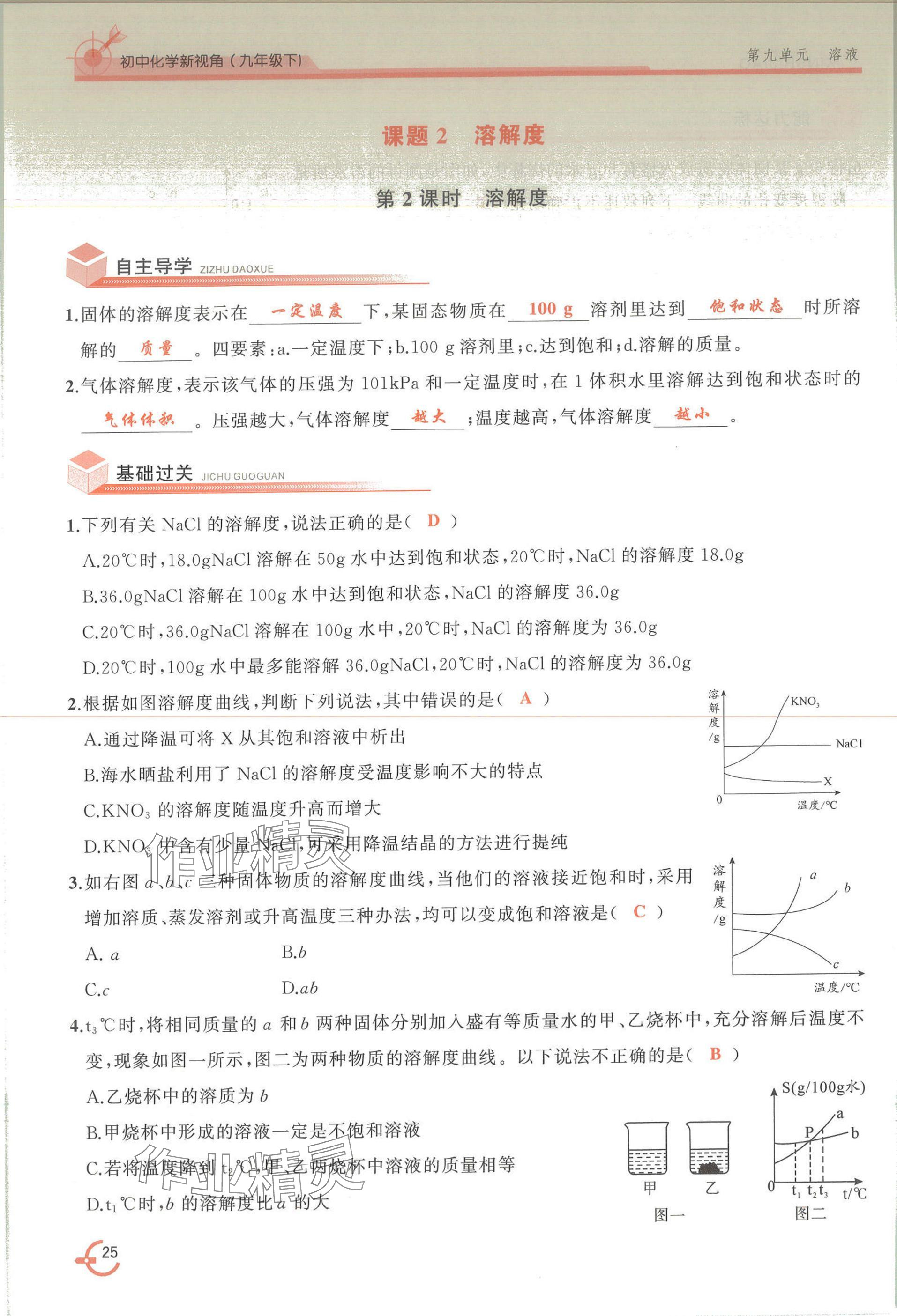 2025年新視角教輔系列叢書化學(xué)九年級(jí)下冊(cè)人教版 參考答案第25頁