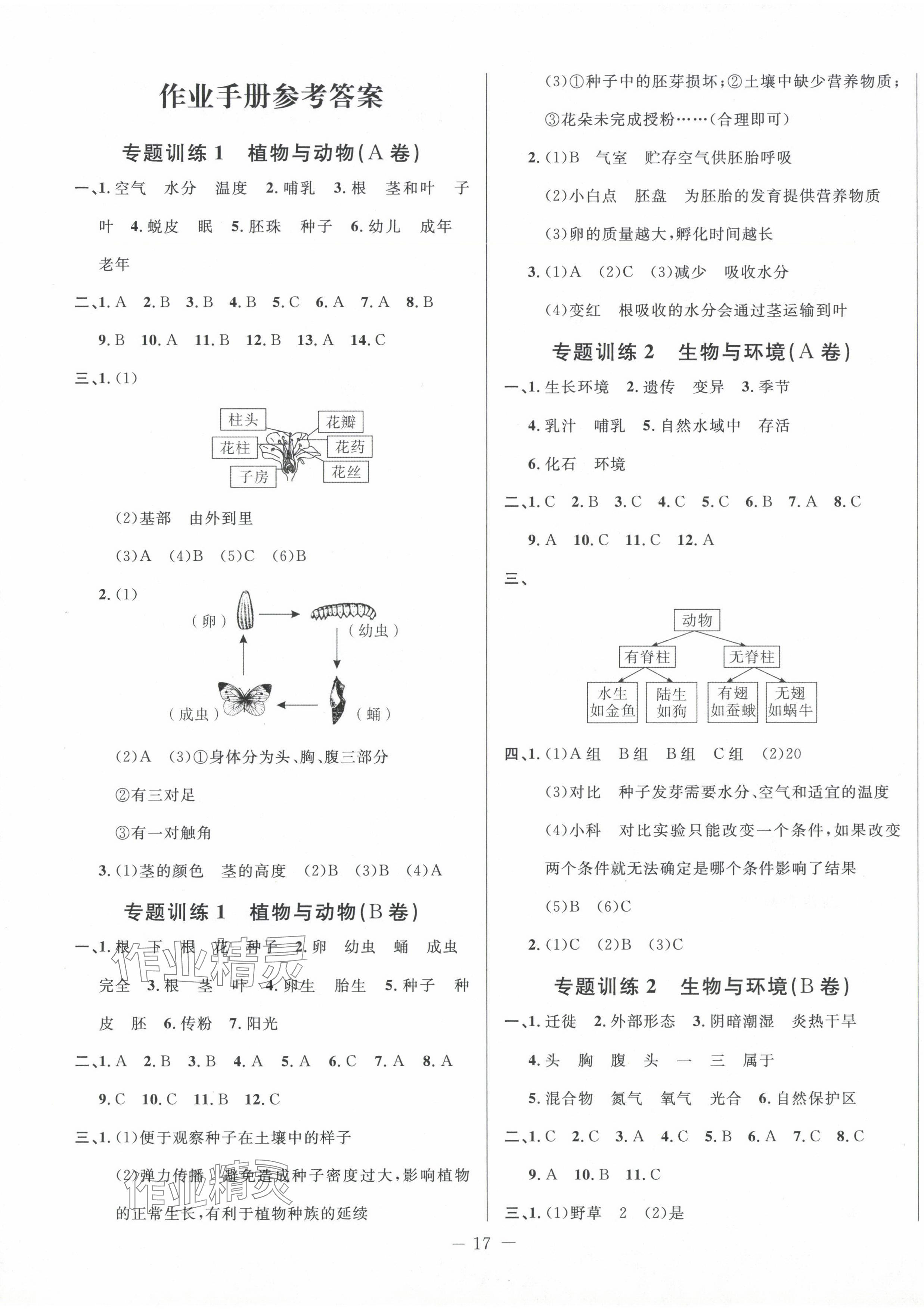 2024年小考直通車六年級科學 第1頁