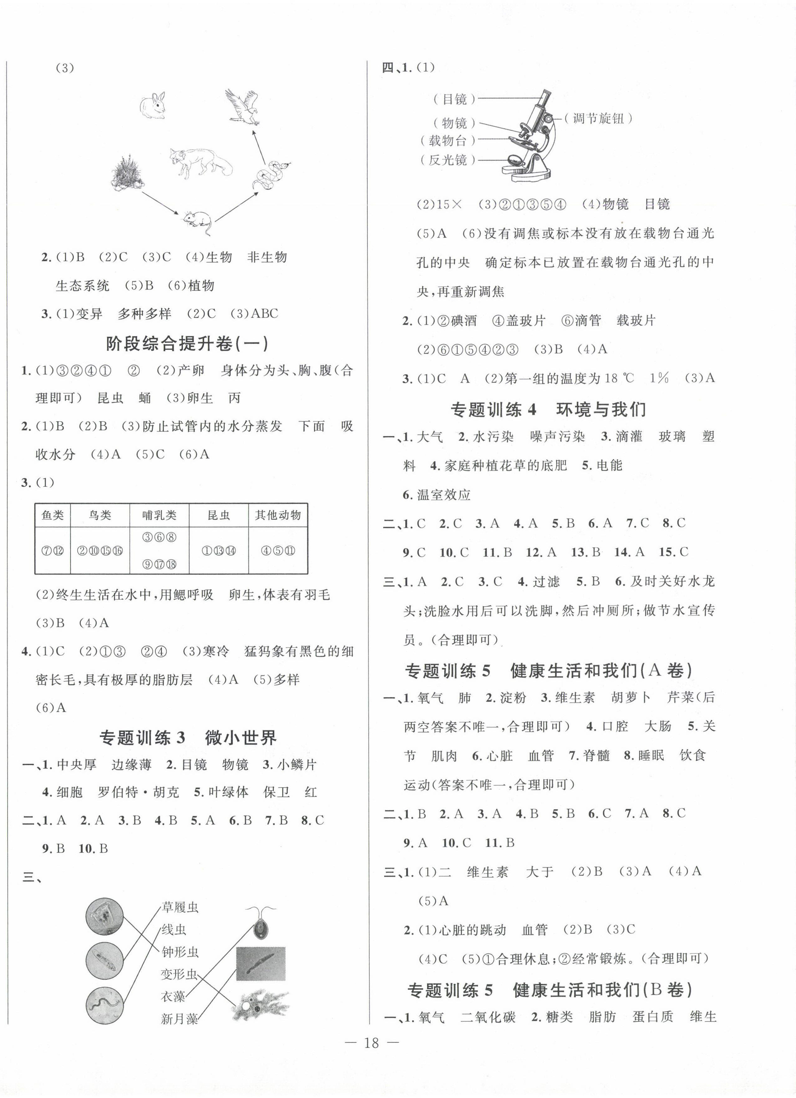 2024年小考直通車六年級科學 第2頁