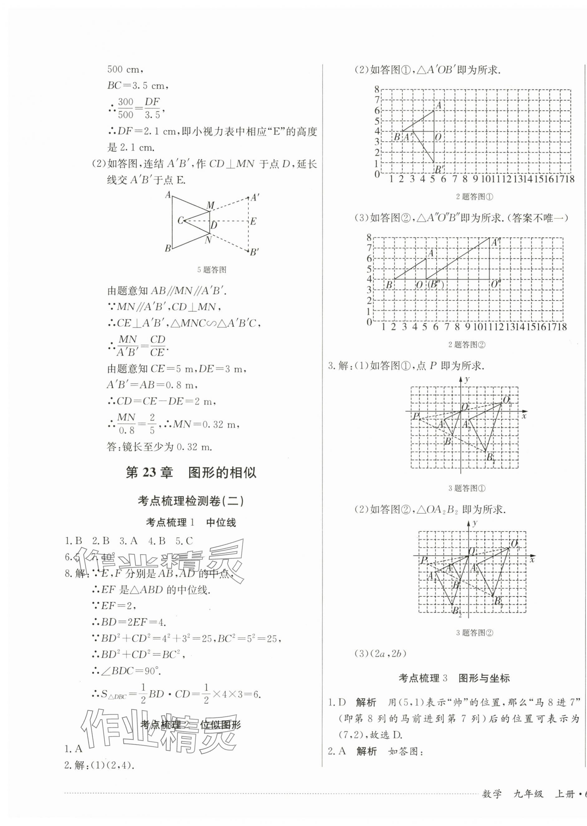 2024年單元過關(guān)與拓展訓練九年級數(shù)學上冊華師大版 第7頁