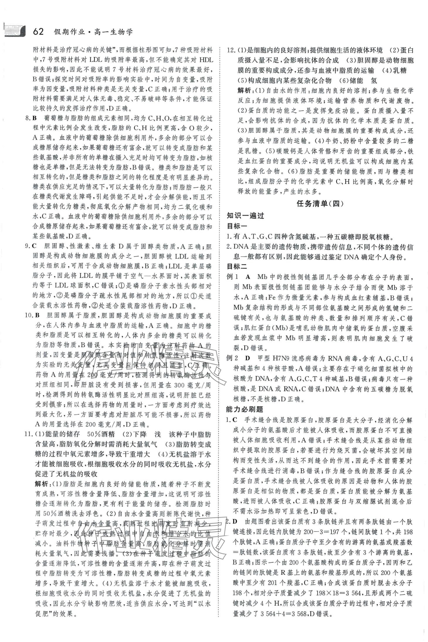 2024年金版新学案假期必刷题高一生物 第4页