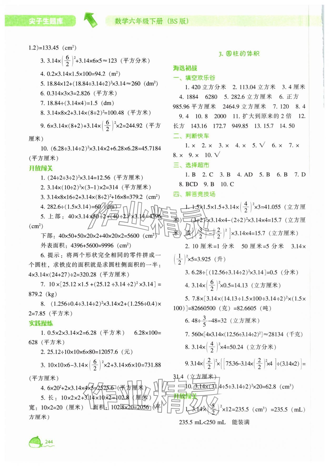 2025年尖子生題庫六年級數(shù)學下冊北師大版 第2頁