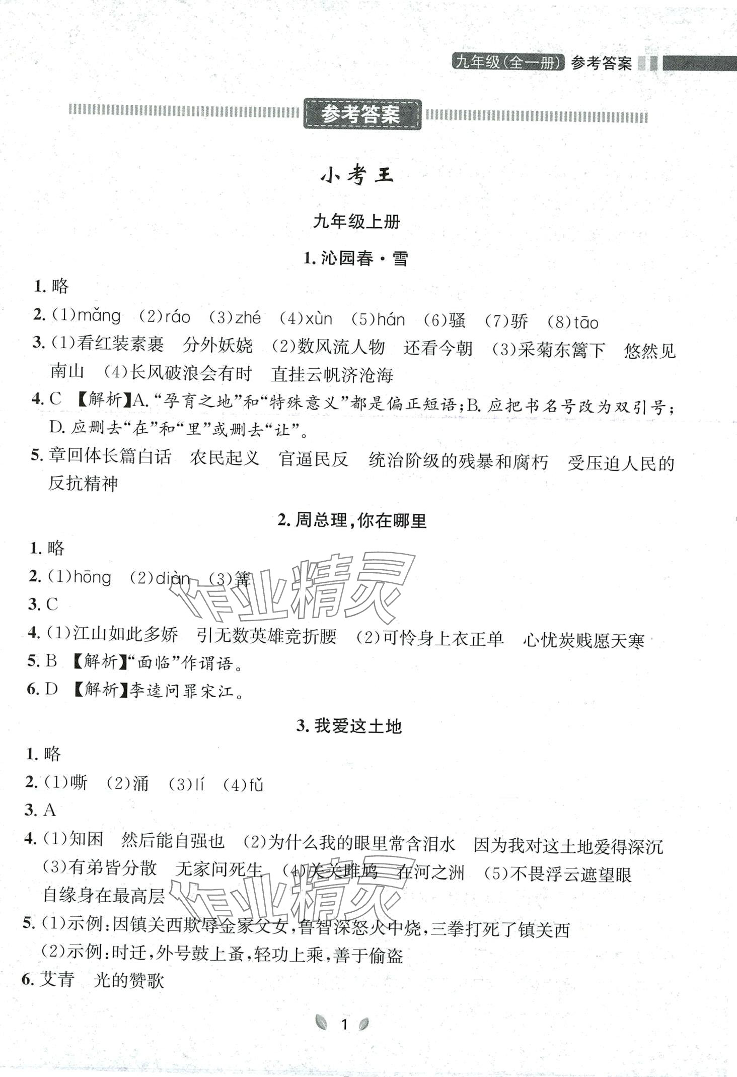 2023年點石成金金牌奪冠九年級語文全一冊人教版遼寧專版 第1頁