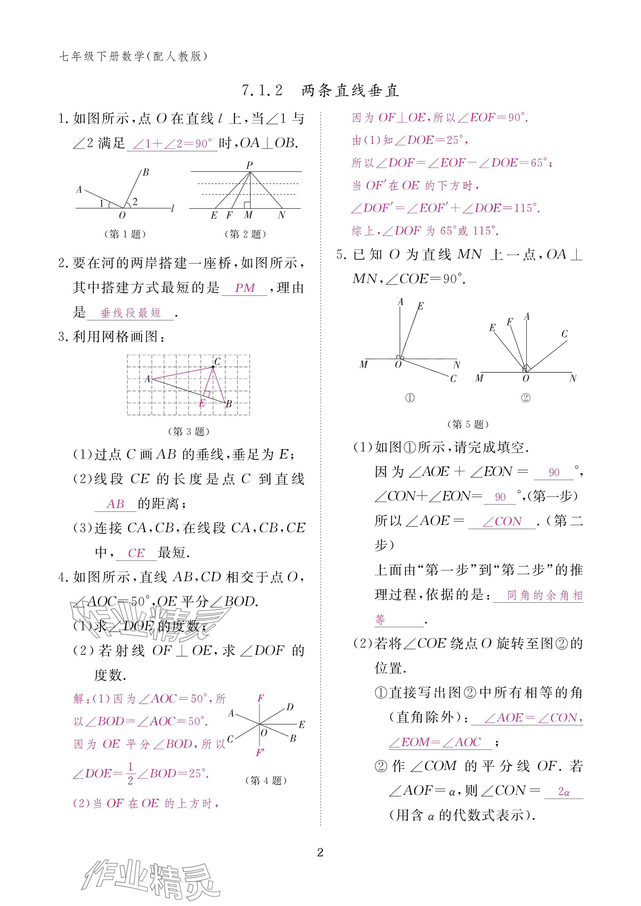 2025年作業(yè)本江西教育出版社七年級數(shù)學(xué)下冊人教版 參考答案第2頁