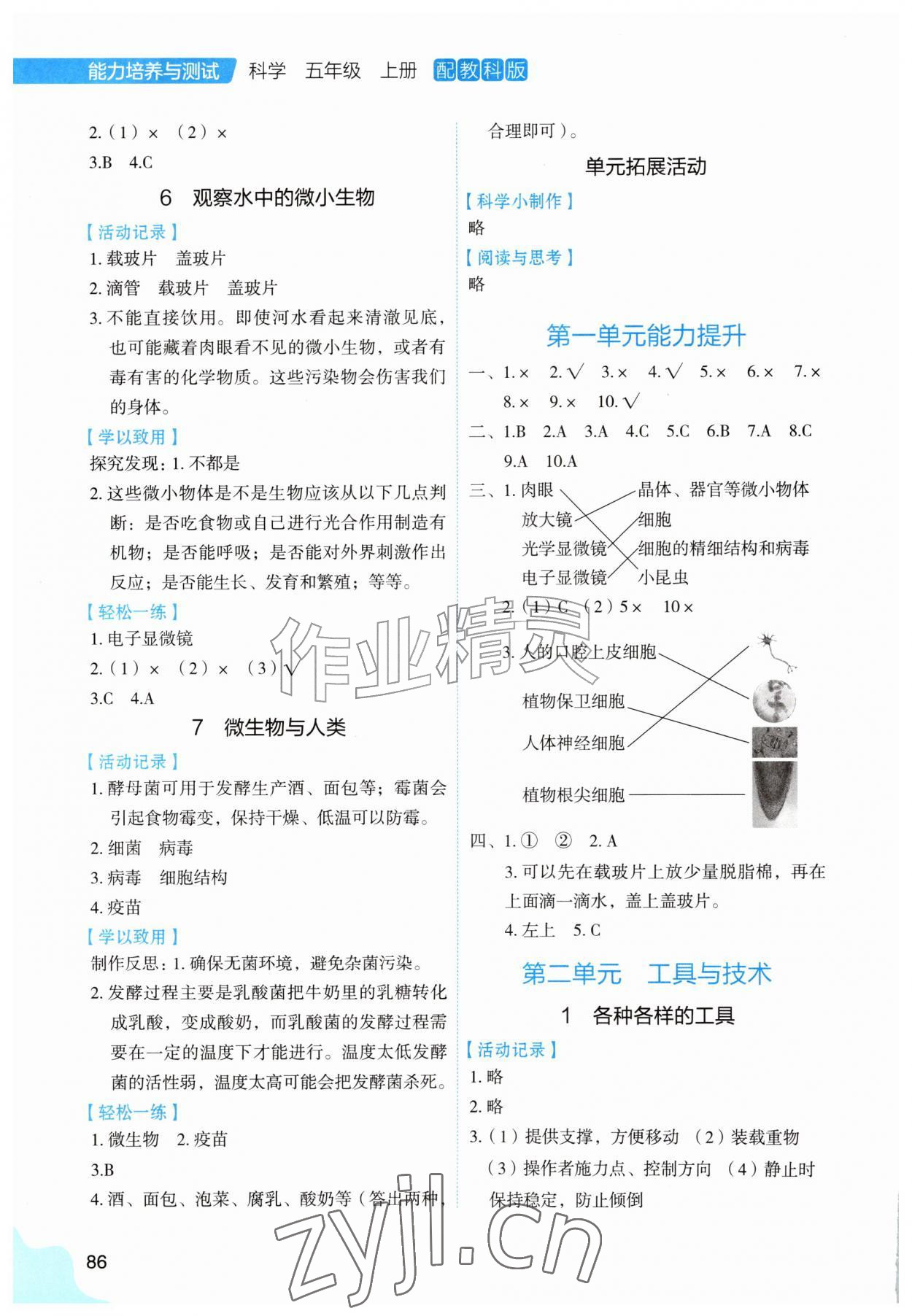 2026年能力培养与测试五年级科学上册教科版黑龙江专版&nbsp;第2页