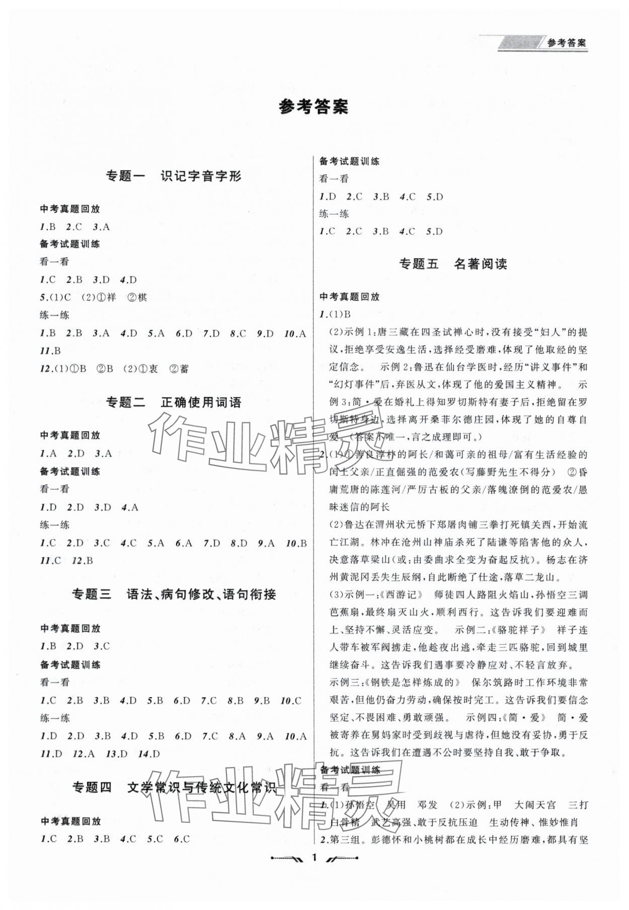 2025年中考全程复习训练语文 第1页