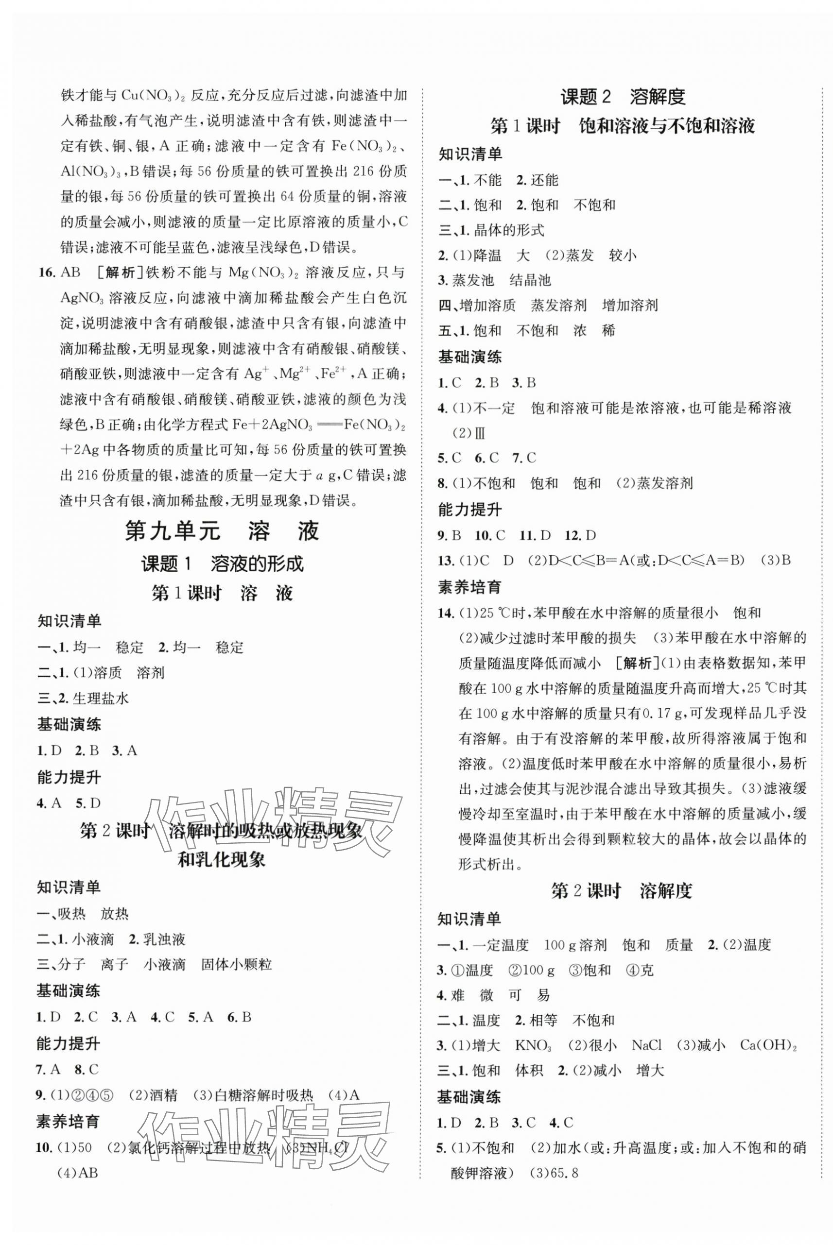 2024年同行學(xué)案學(xué)練測(cè)九年級(jí)化學(xué)下冊(cè)人教版 第5頁