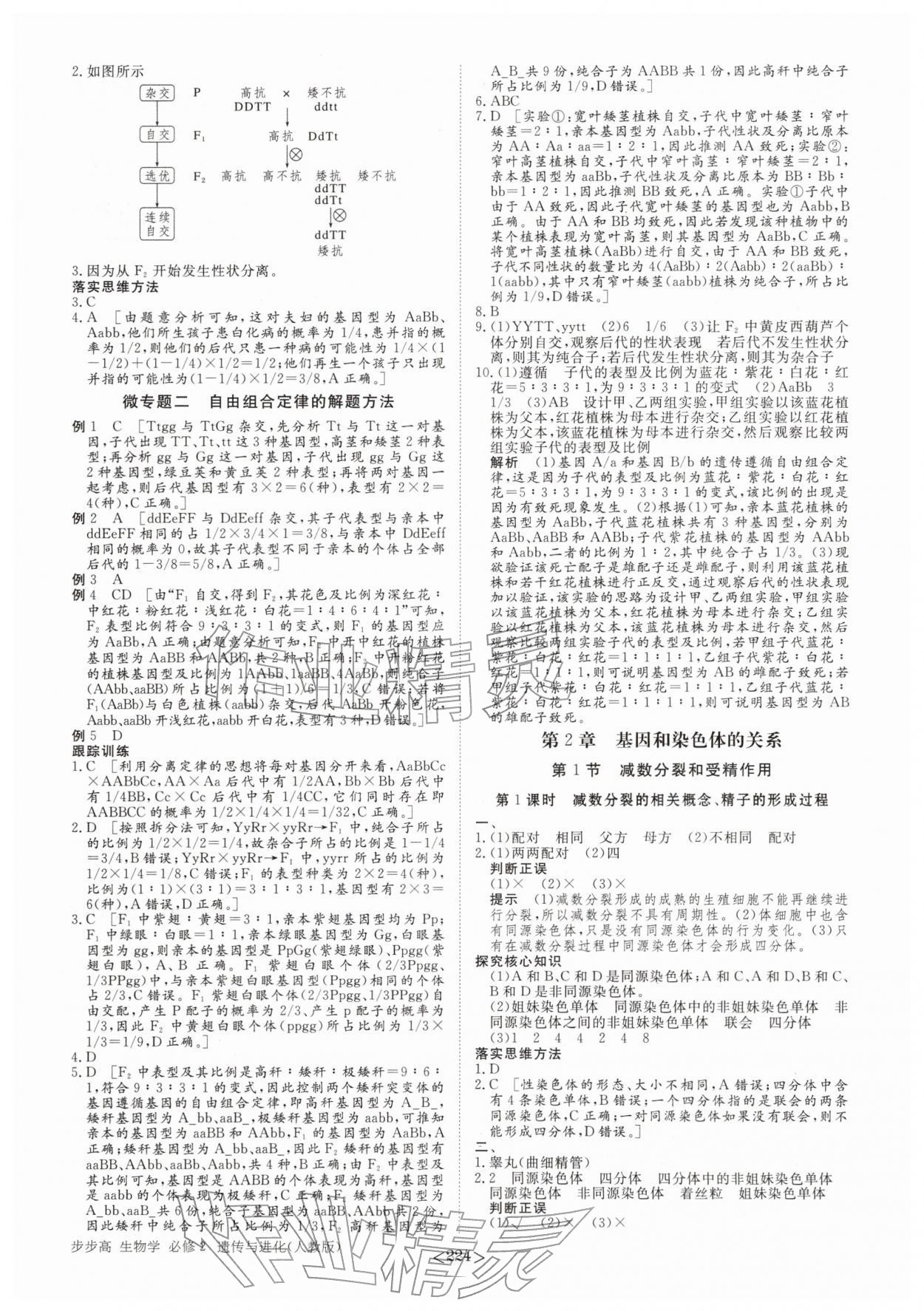 2026年步步高学习笔记生物必修2人教版&nbsp;参考答案第3页