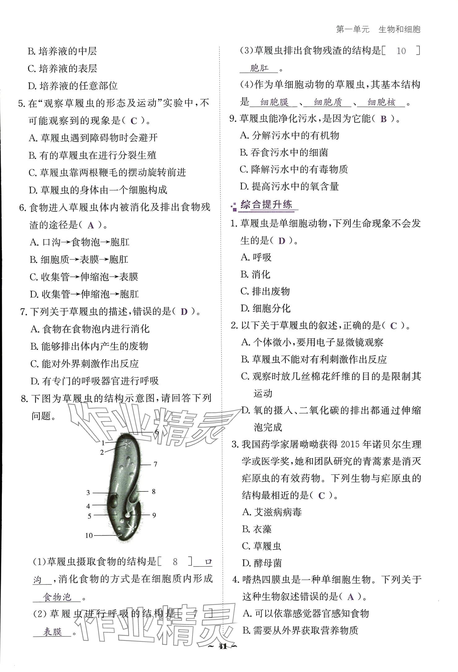 2024云南省標準教輔優(yōu)佳學案七年級生物上冊 參考答案第41頁