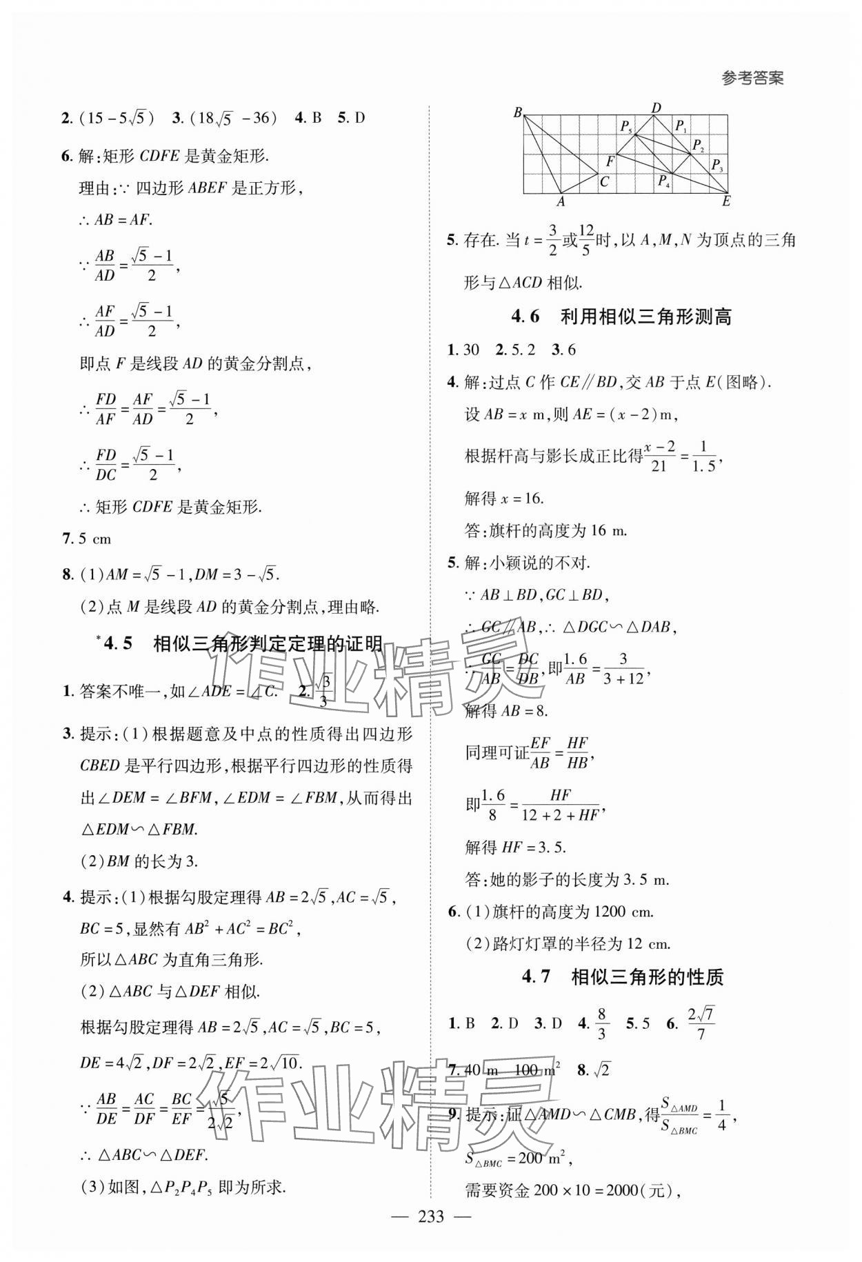 2023年新課堂學習與探究九年級數學全一冊北師大版 第13頁