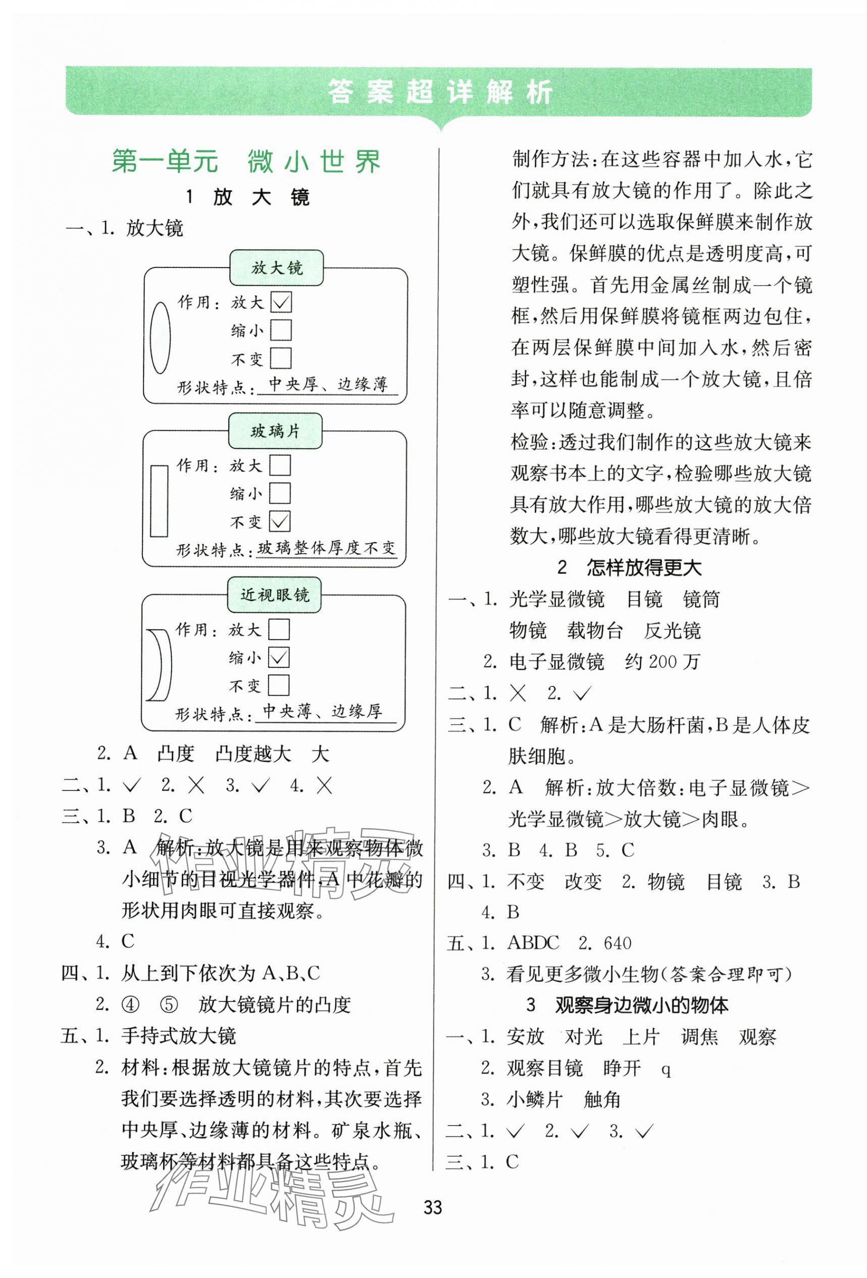 2025年课时训练江苏凤凰科学技术出版社六年级上册教科版 参考答案第1页