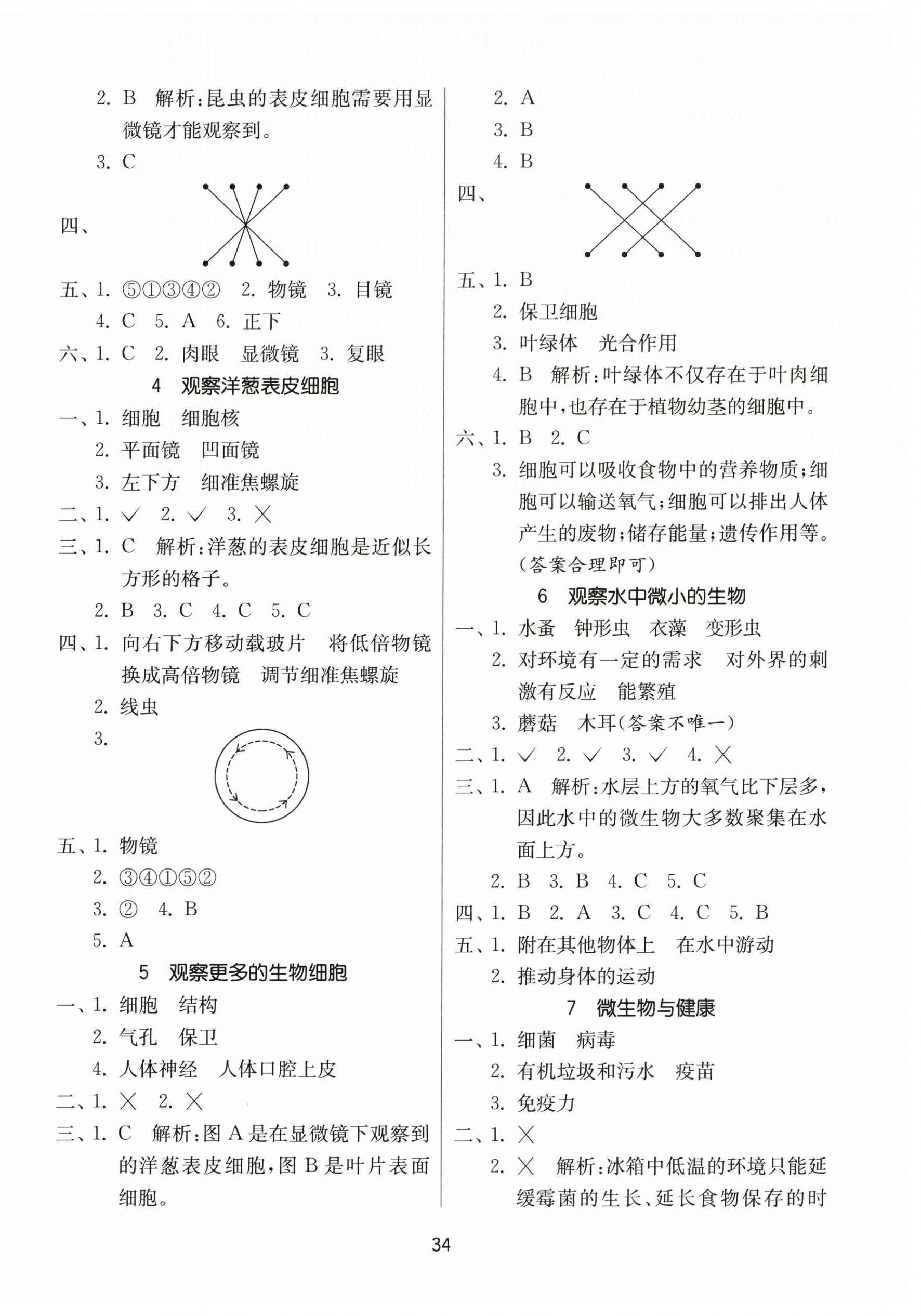 2025年课时训练江苏凤凰科学技术出版社六年级上册教科版 参考答案第2页