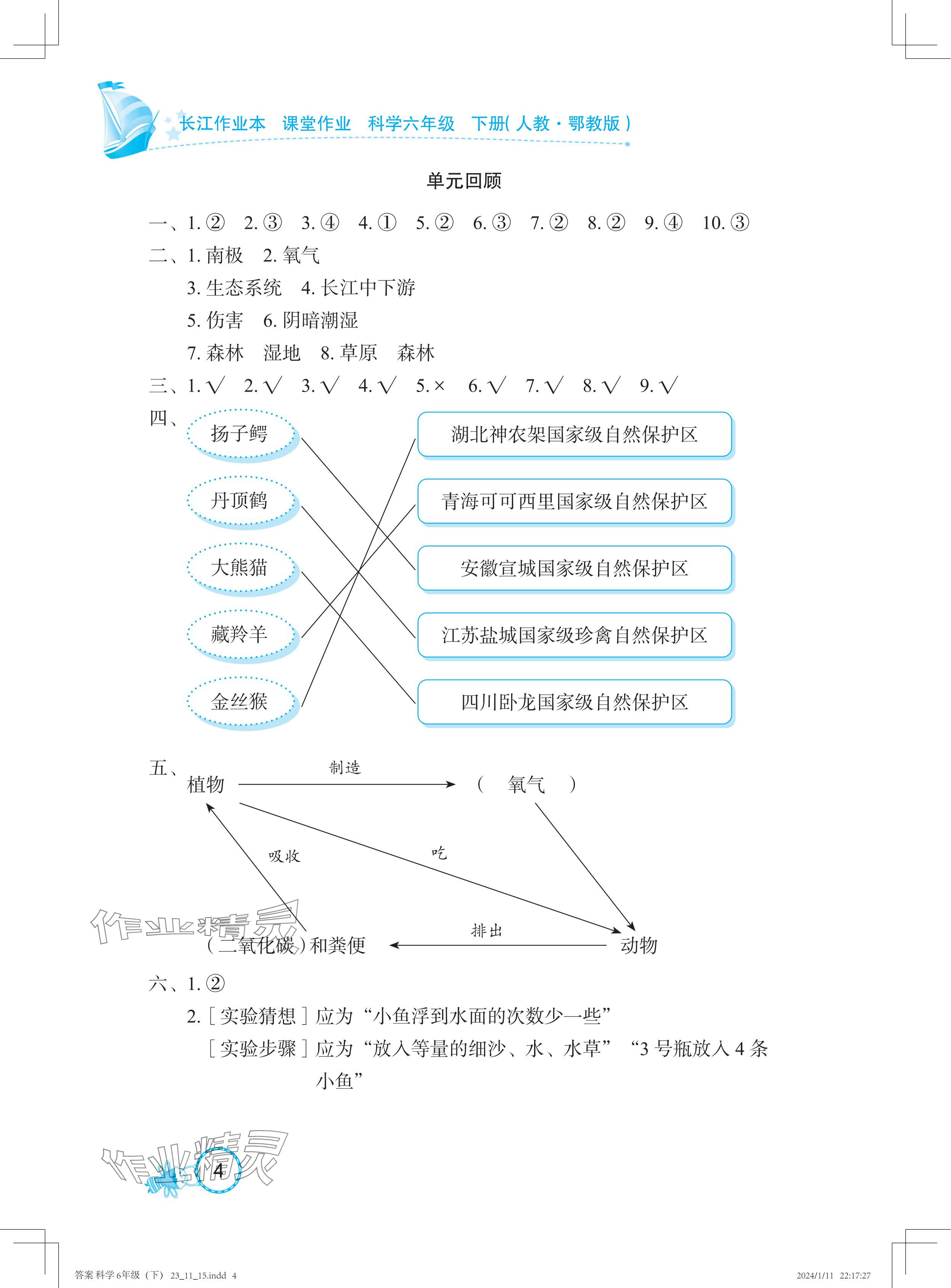 2024年長江作業(yè)本課堂作業(yè)六年級科學下冊鄂教版 參考答案第4頁