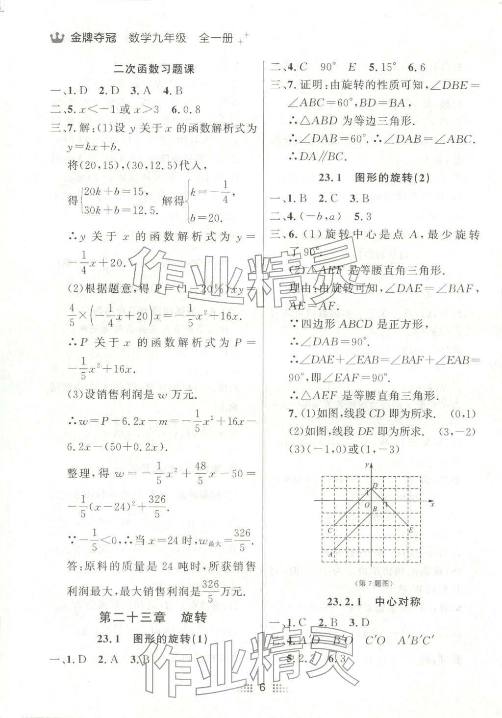 2025年点石成金金牌夺冠九年级数学全一册人教版辽宁专版&nbsp;第6页