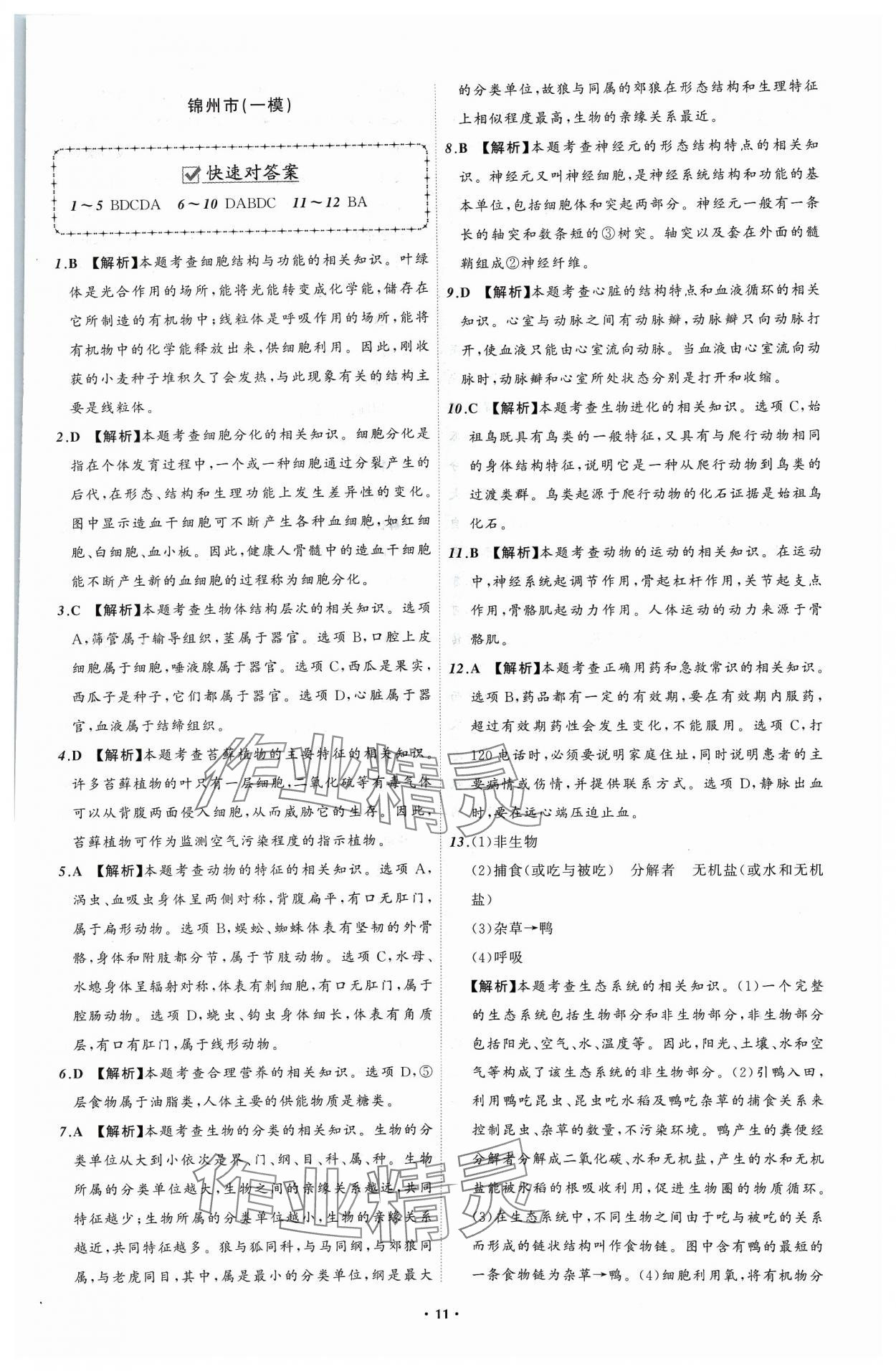 2024年中考必备辽宁师范大学出版社生物辽宁专版 参考答案第11页