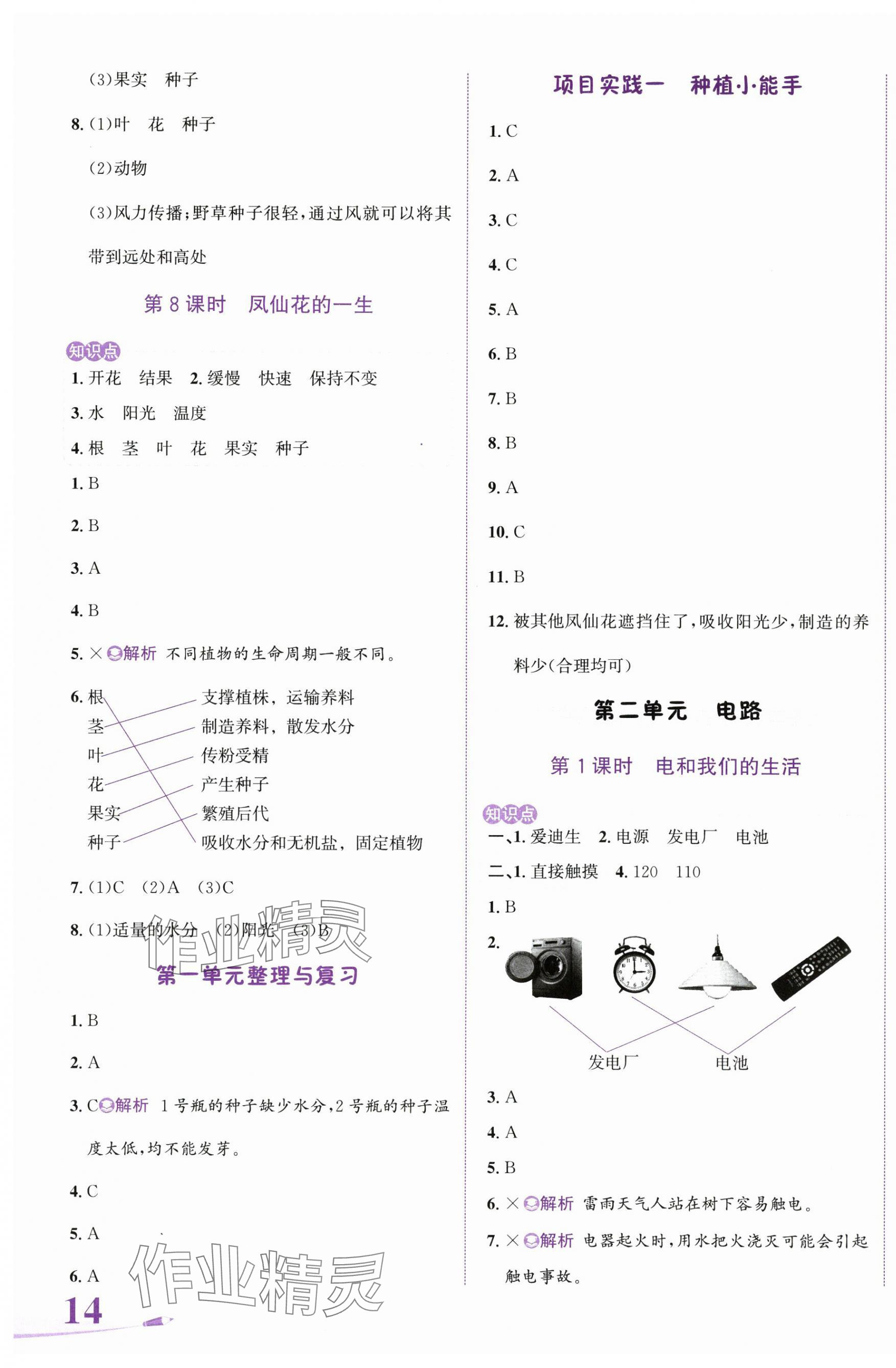 2025年奔跑吧少年四年級科學(xué)下冊教科版 第3頁