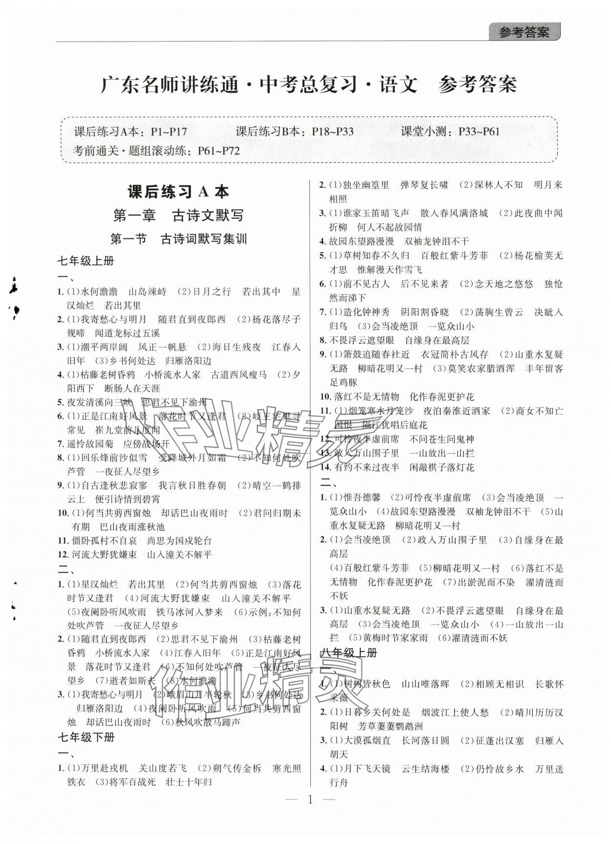 2025年廣東名師講練通中考總復習語文 第1頁