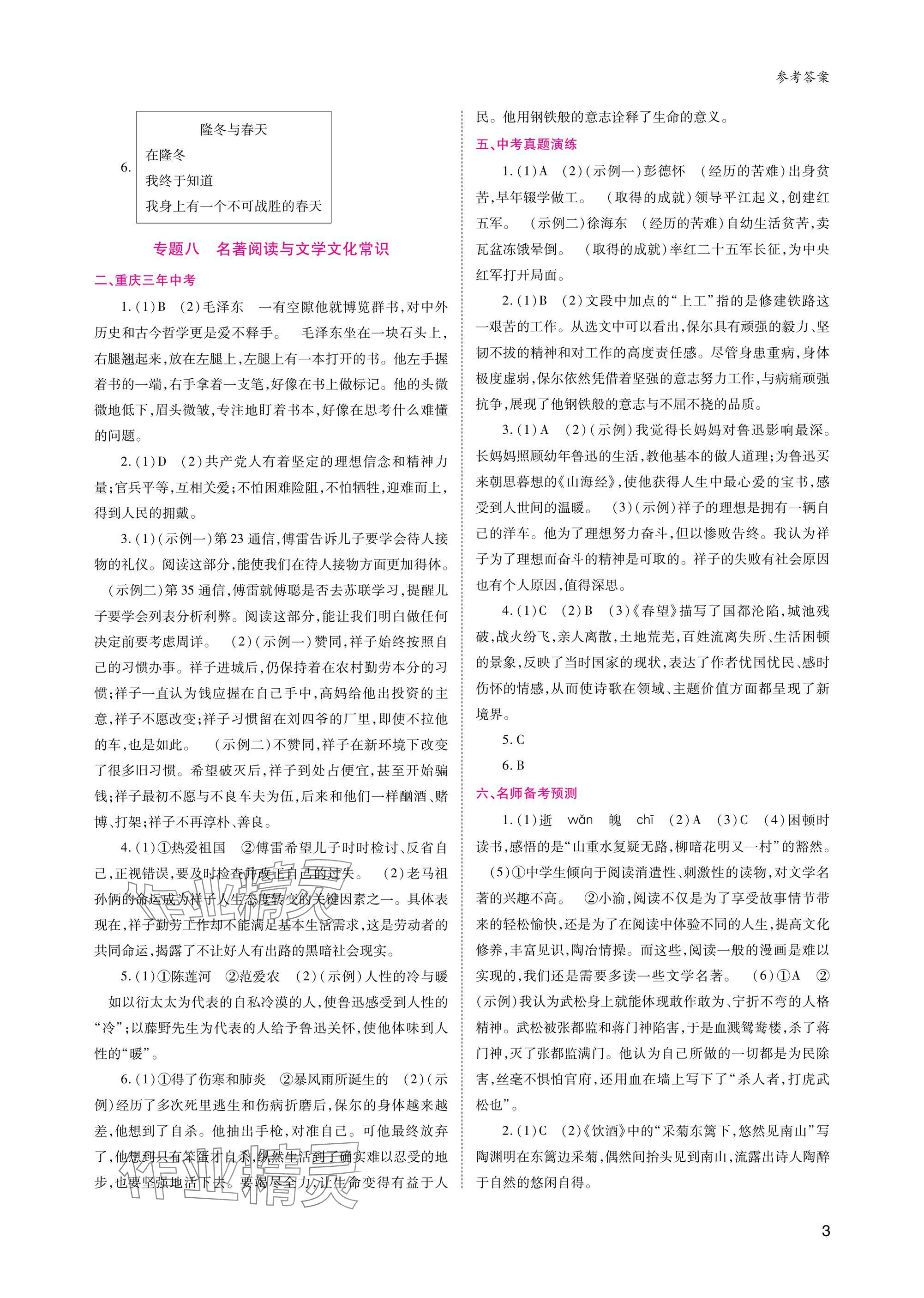 2025年中考總復(fù)習(xí)重慶出版社語文 參考答案第3頁