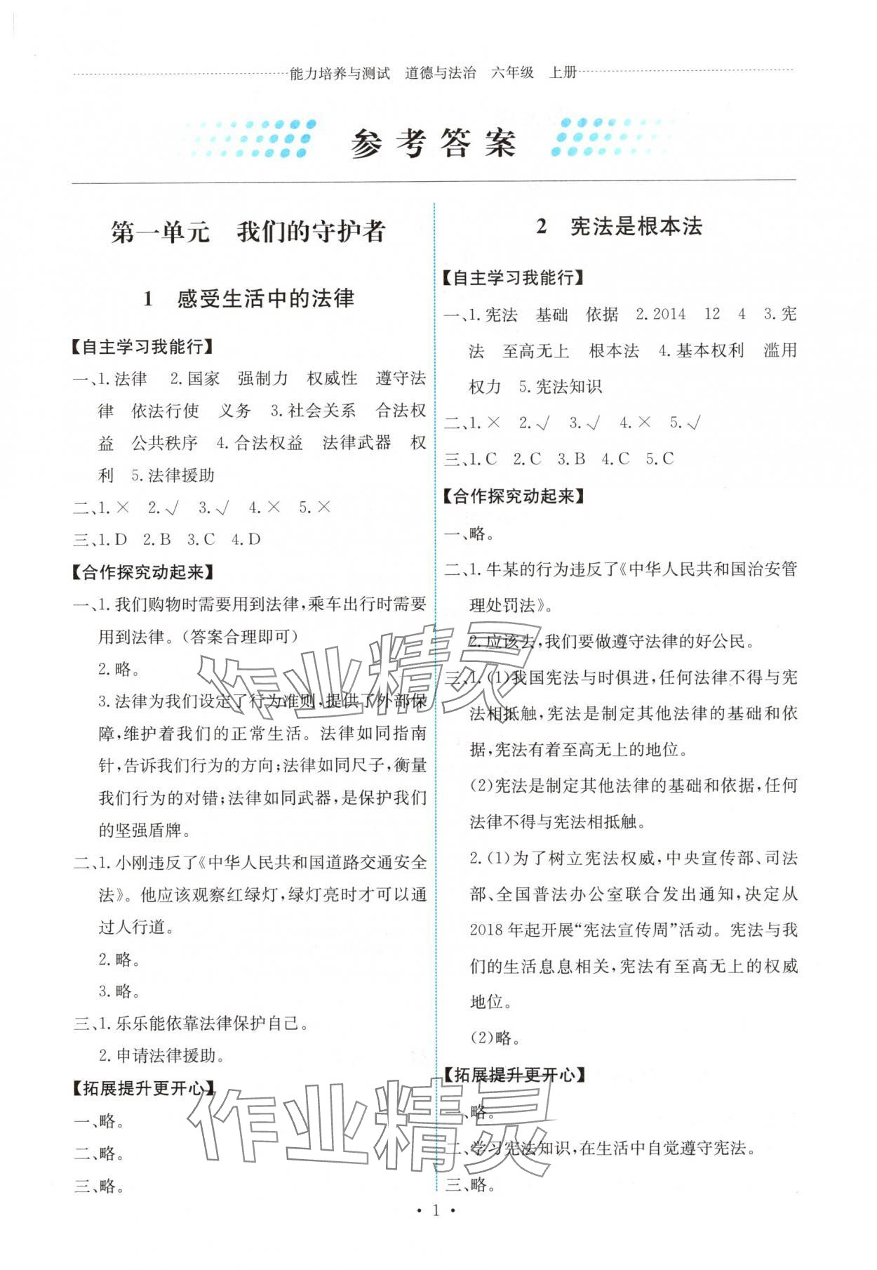 2025年能力培养与测试六年级道德与法治上册人教版湖南专版 第1页
