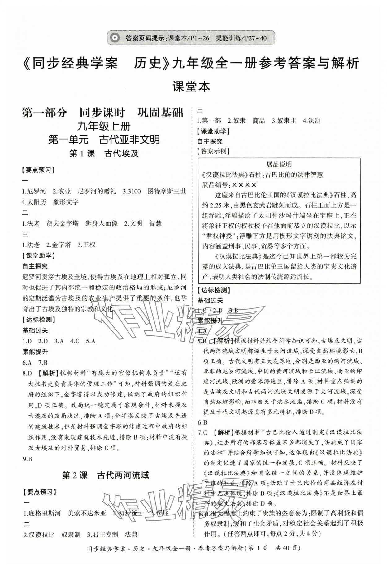 2025年同步经典学案九年级历史全一册人教版 第1页