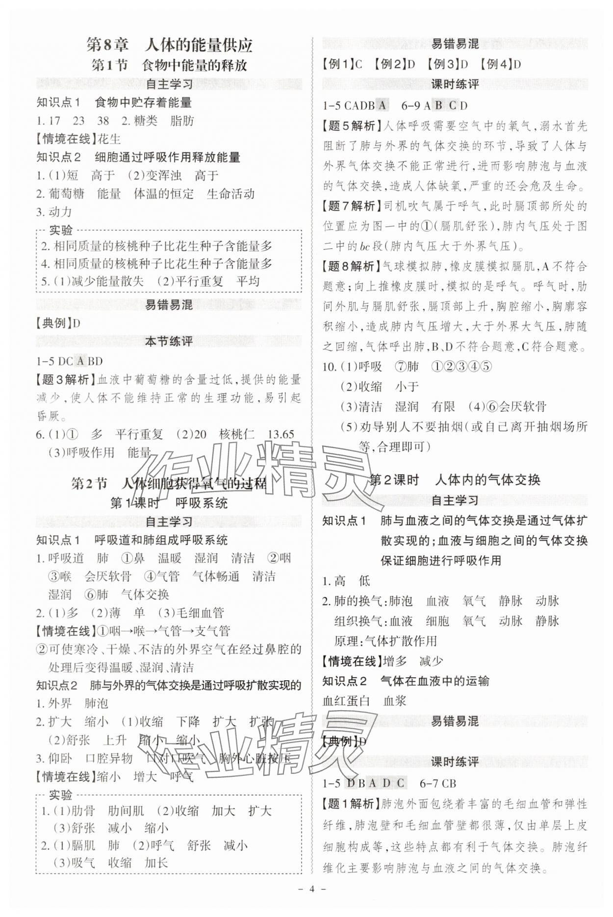 2025年同步沖刺七年級生物下冊北師大版 第4頁