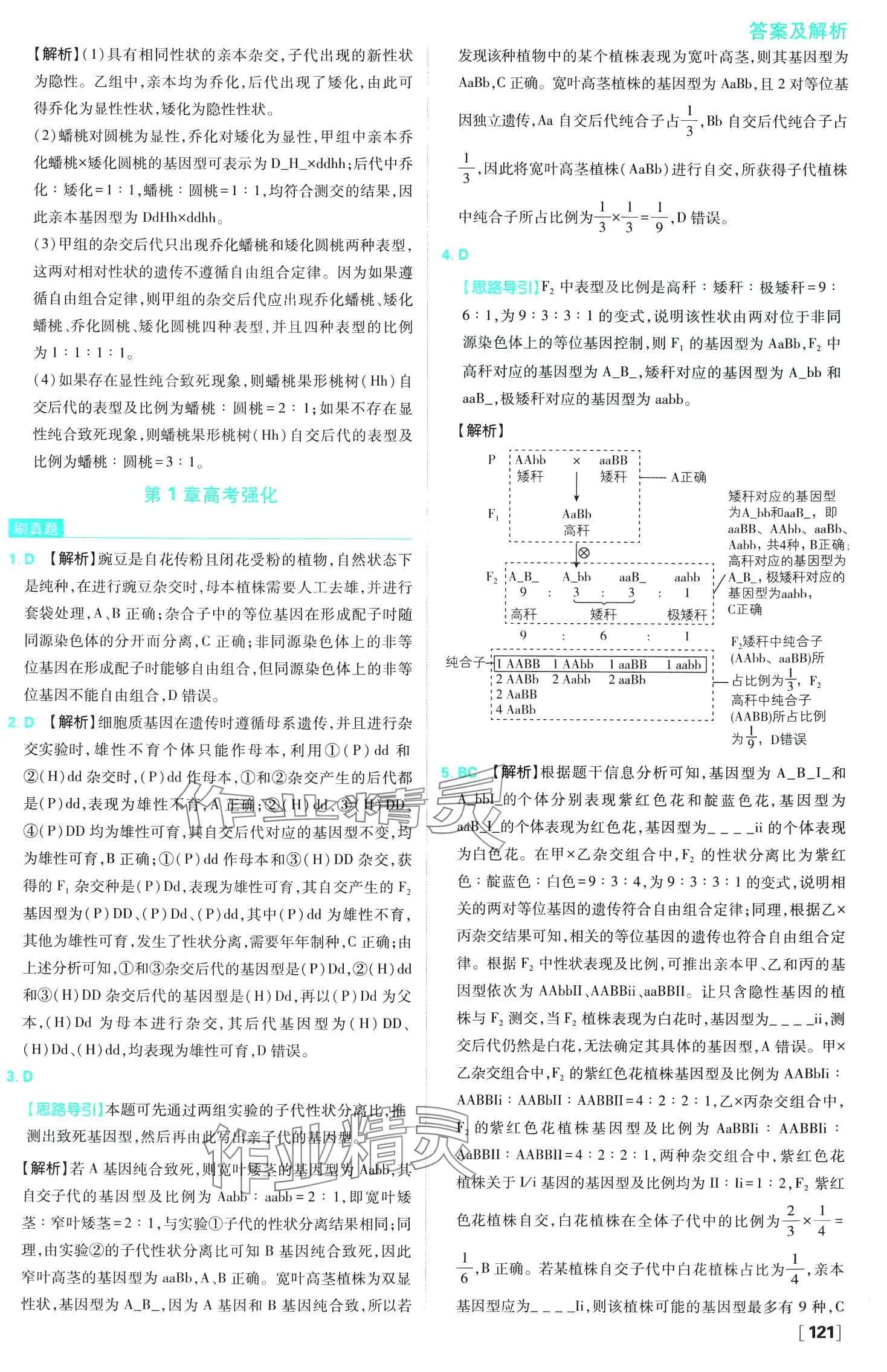 2024年高中必刷題高中生物必修2人教版 第16頁