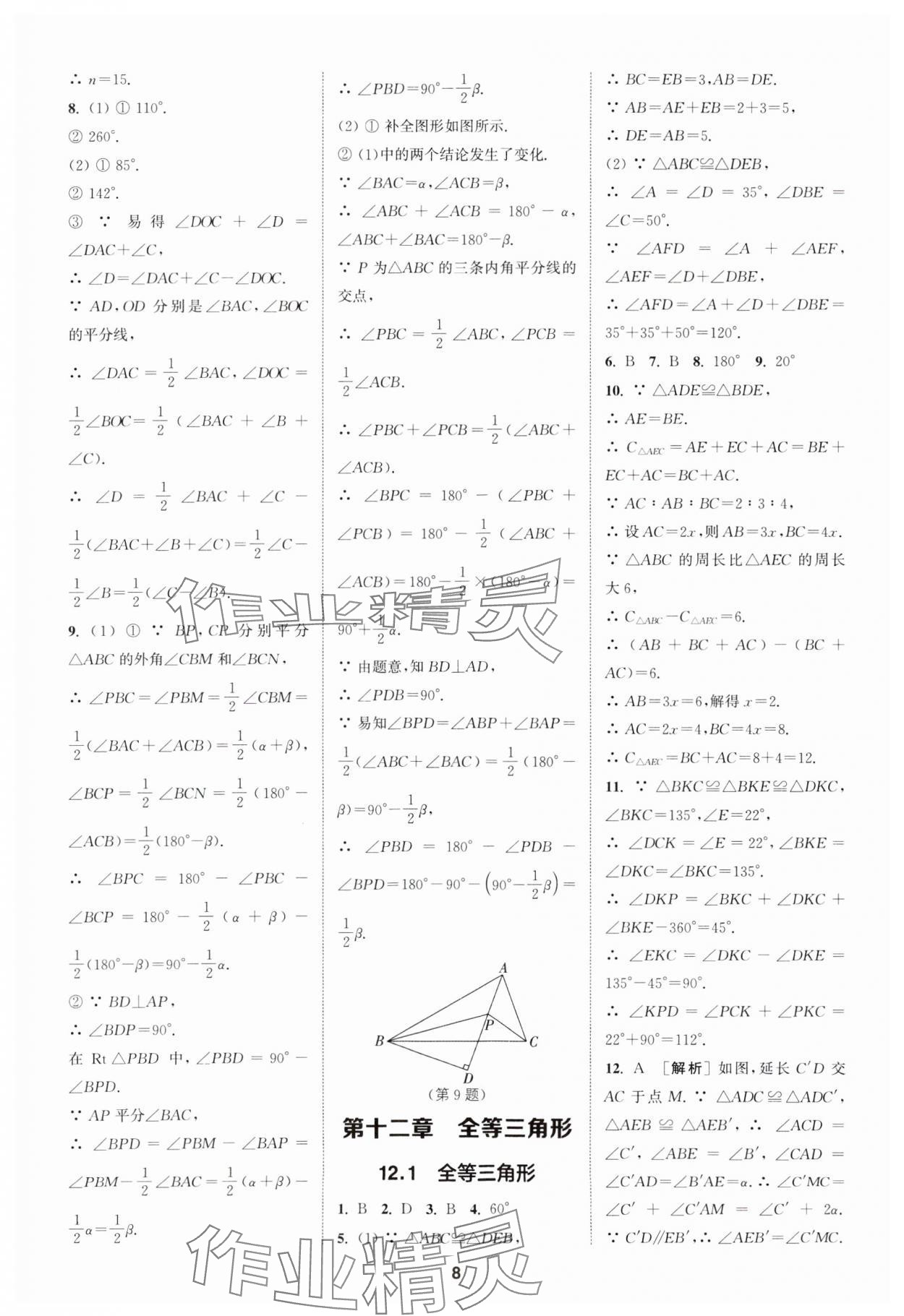 2024年拔尖特訓(xùn)八年級(jí)數(shù)學(xué)上冊(cè)人教版 參考答案第8頁