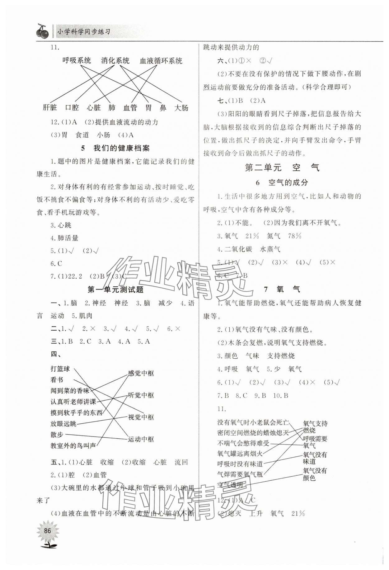 2025年同步练习山东文艺出版社五年级科学下册青岛版 第2页