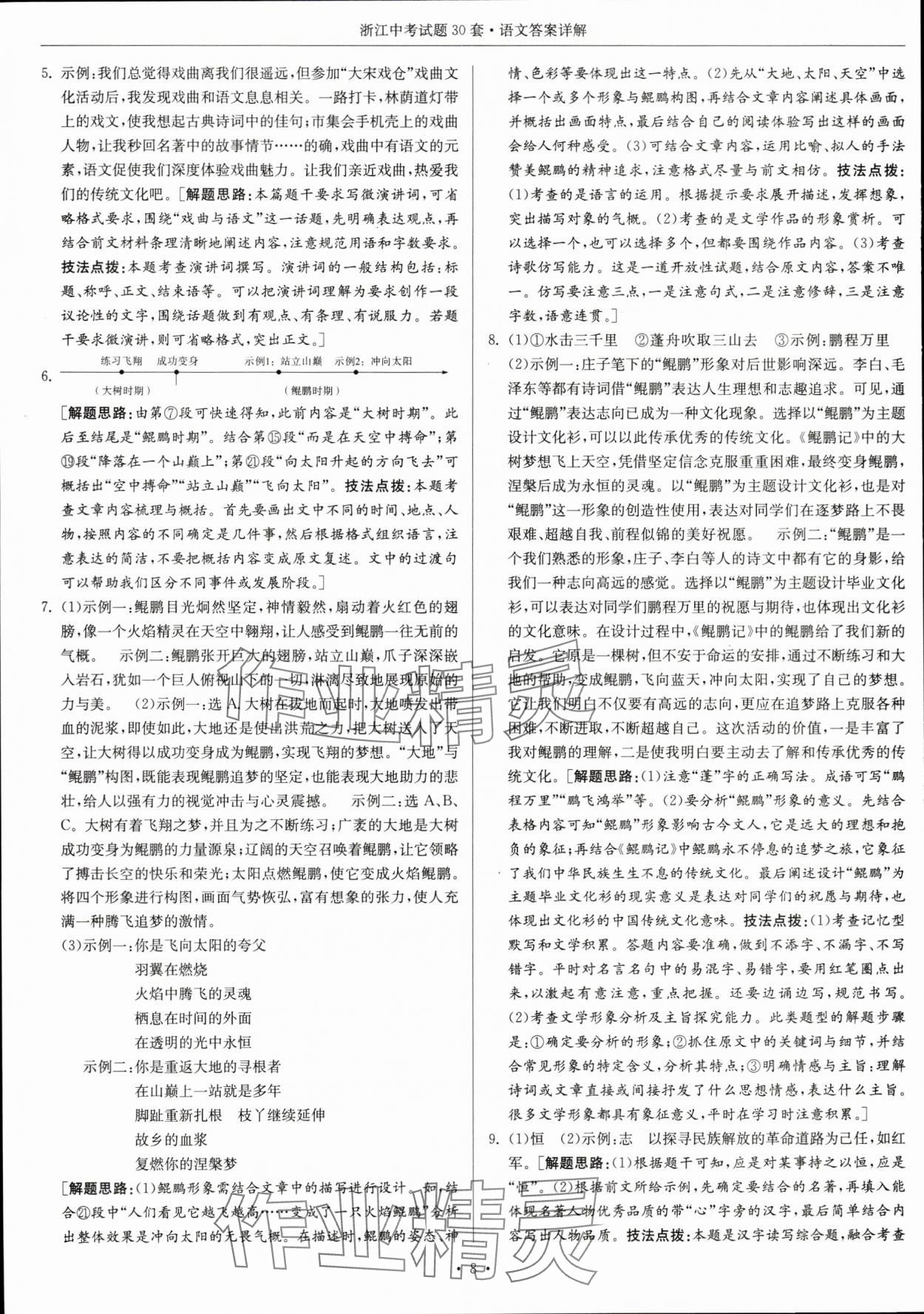 2024年浙江中考试题30套语文&nbsp;参考答案第8页