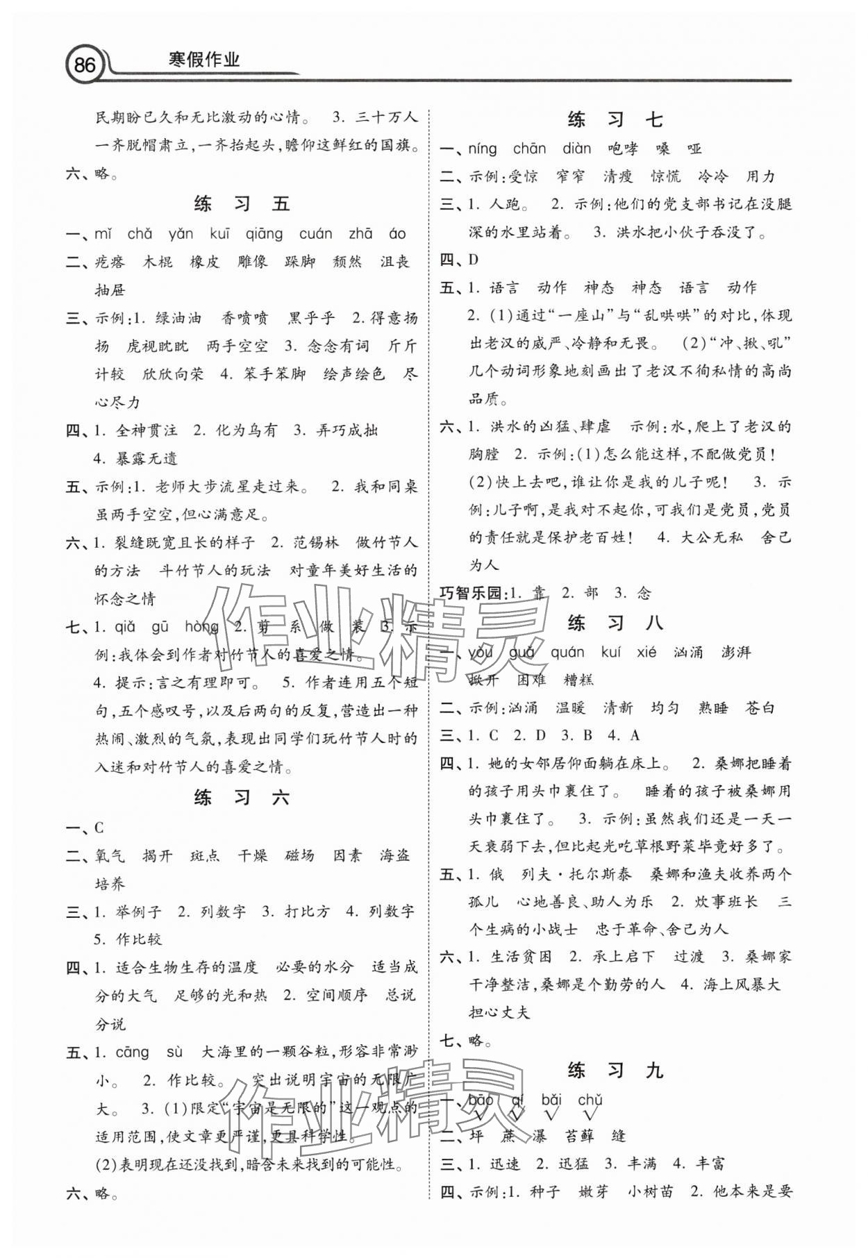 2025年寒假作業(yè)河北美術出版社六年級語文 第2頁