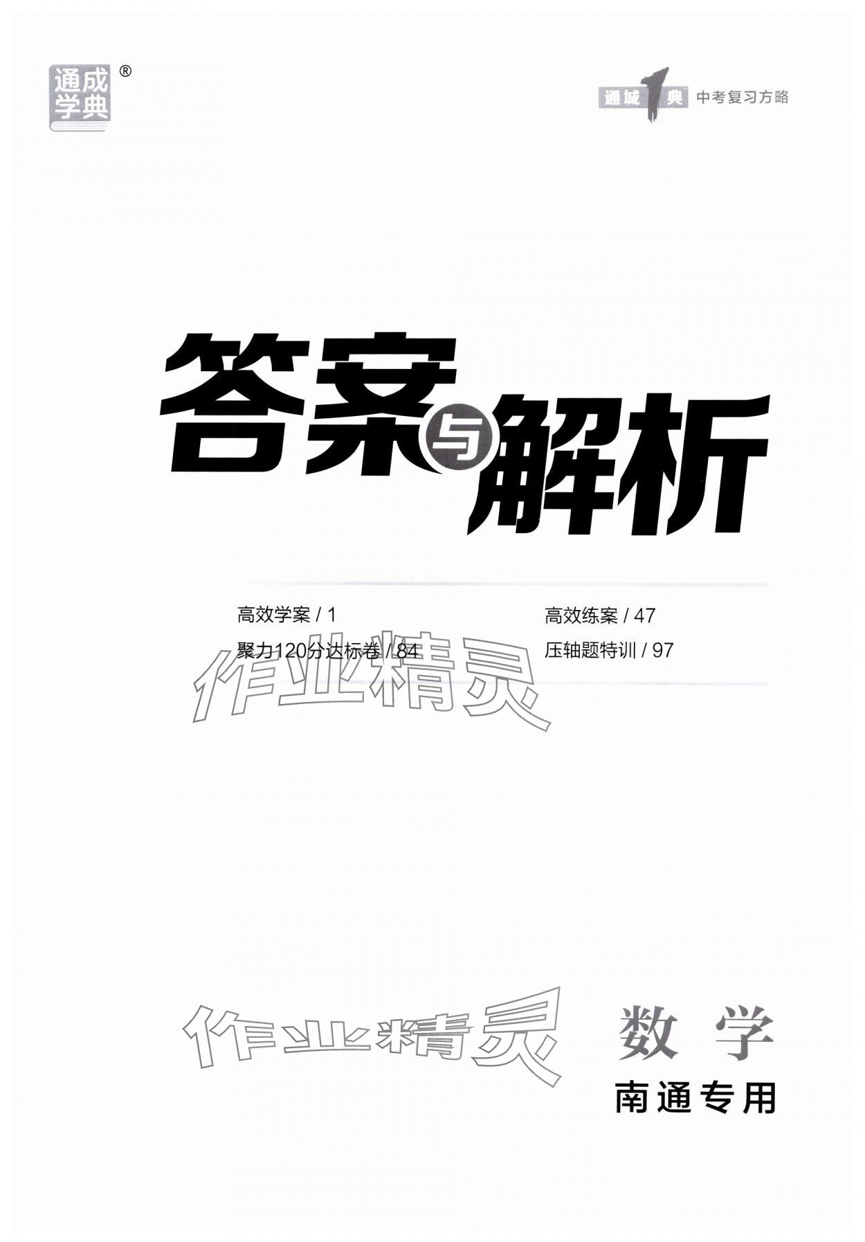 2025年通城学典通城1典中考复习方略数学南通专用 第1页