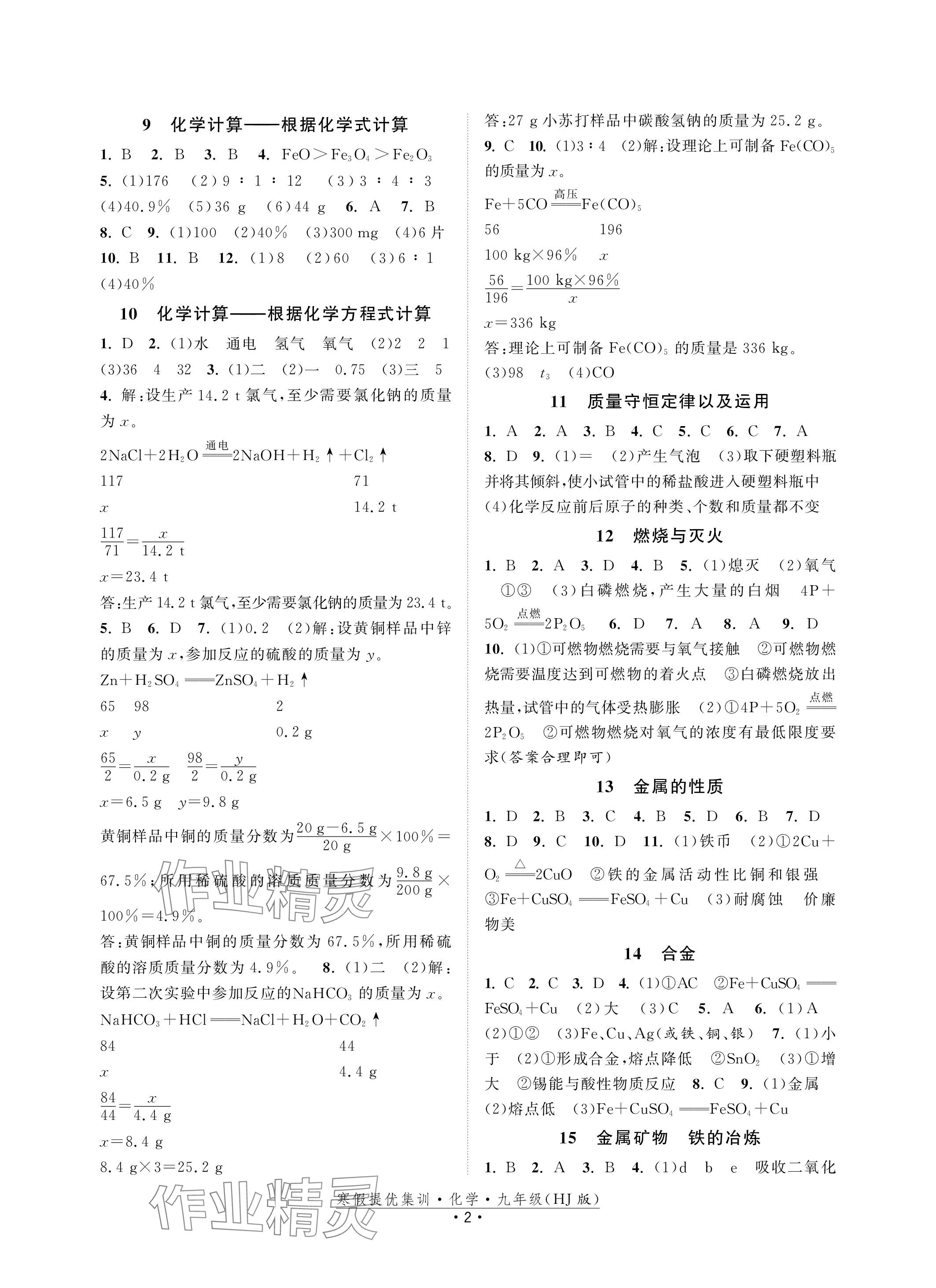 2024年寒假提优集训20天九年级化学沪教版 参考答案第2页