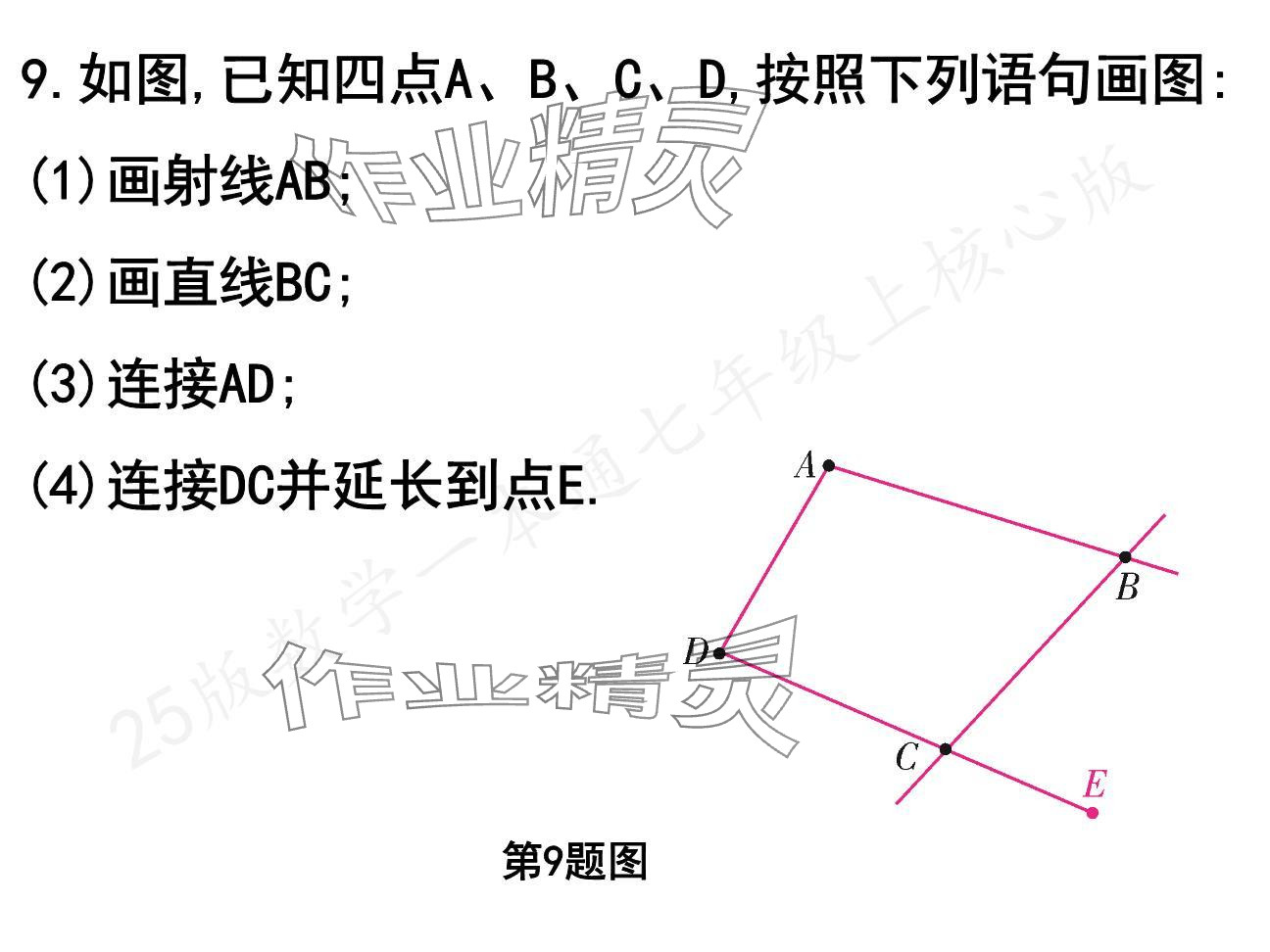 2024年一本通武漢出版社七年級數(shù)學(xué)上冊北師大版核心板 參考答案第8頁