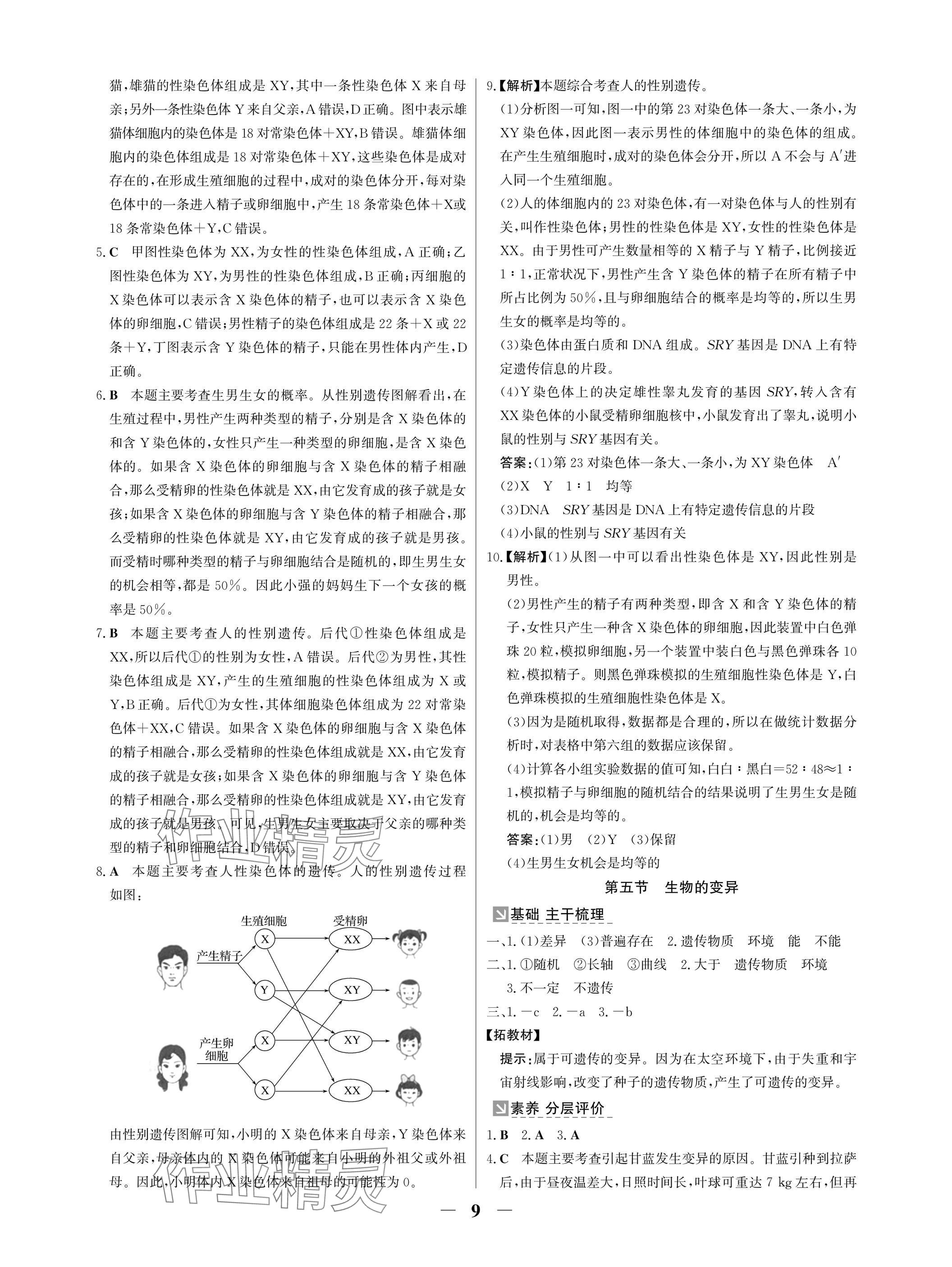 2025年南方新課堂金牌學(xué)案八年級(jí)生物下冊(cè)人教版深圳專版 參考答案第9頁(yè)