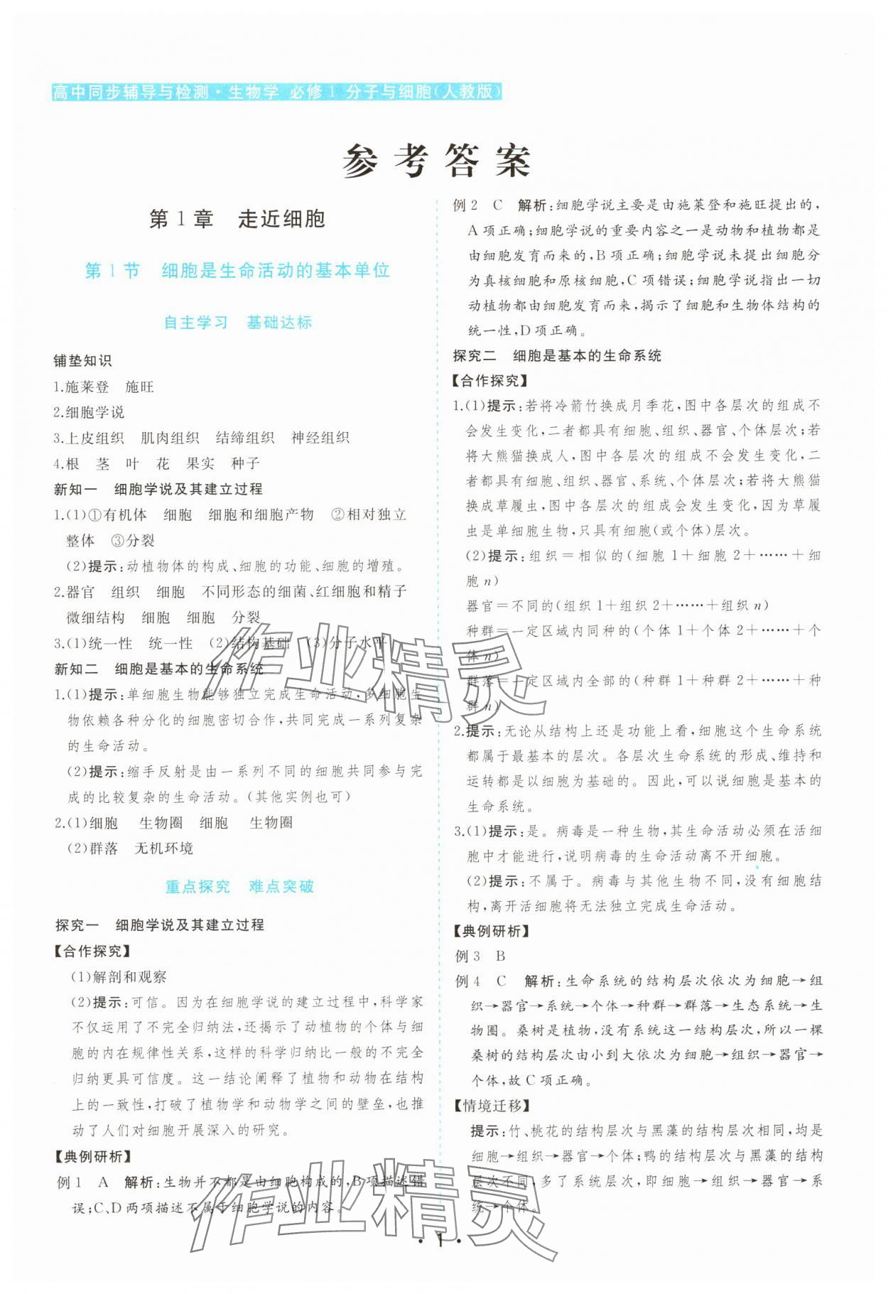 2025年金版学案高中同步辅导与检测高中生物必修1人教版 第1页