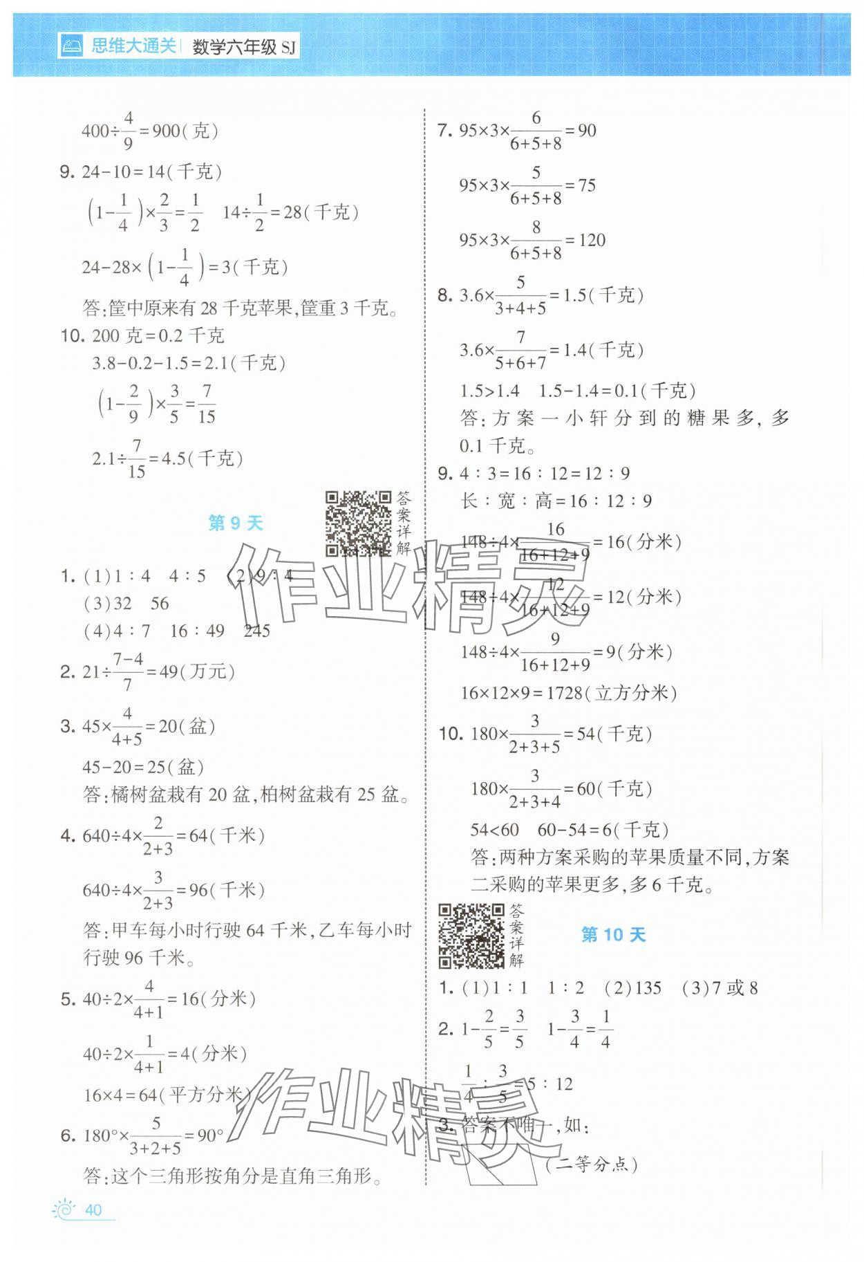 2025年學(xué)霸的寒假六年級(jí)數(shù)學(xué)蘇教版 第4頁