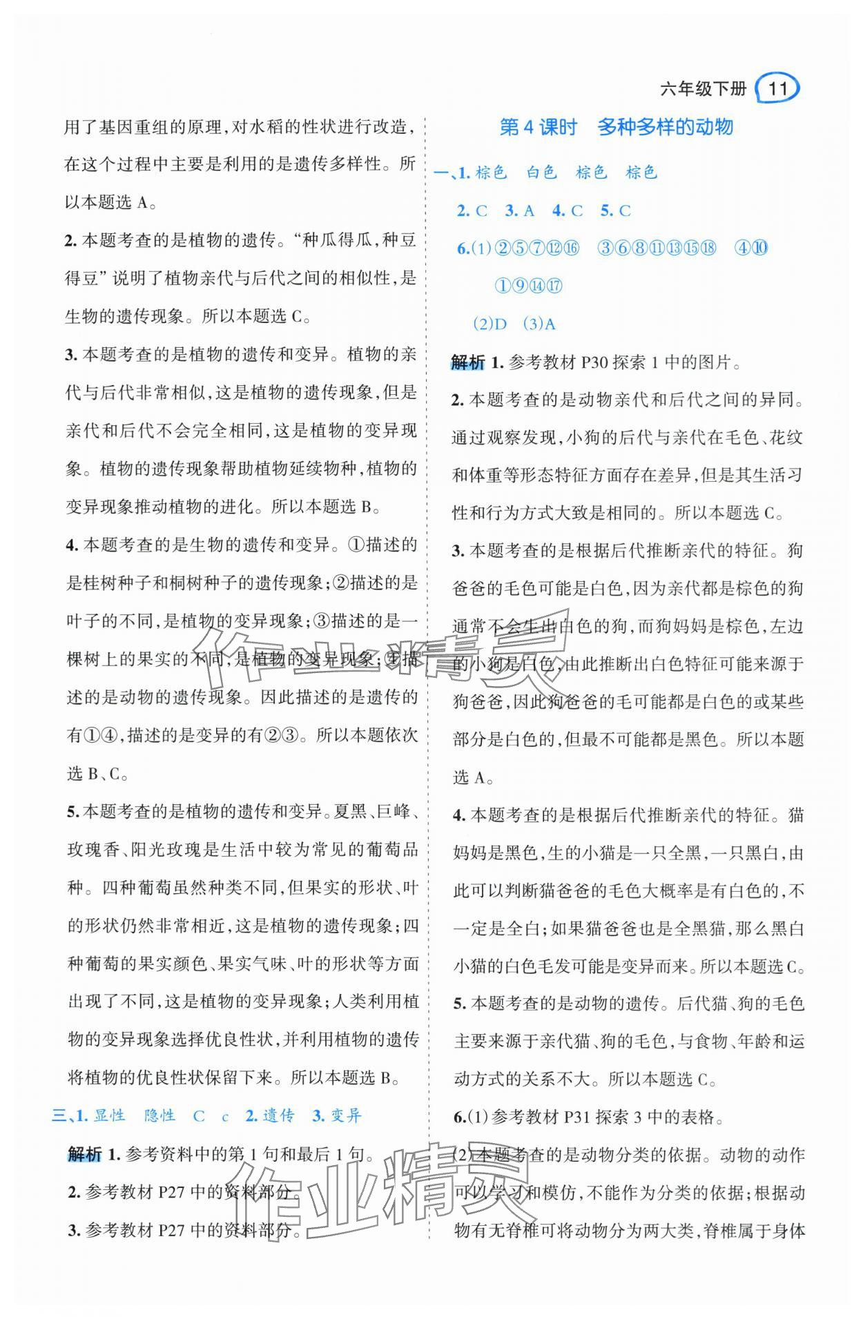 2024年名師面對(duì)面先學(xué)后練六年級(jí)科學(xué)下冊(cè)教科版 參考答案第11頁(yè)