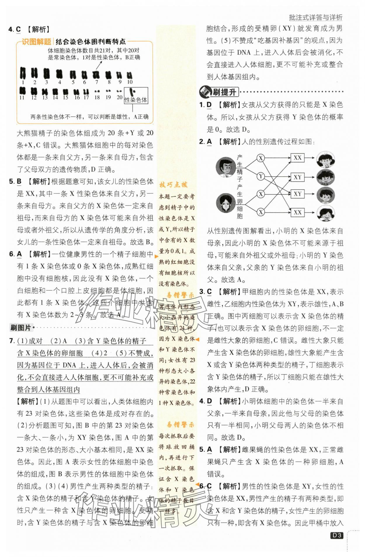 2024年初中必刷题八年级生物下册苏教版 第3页