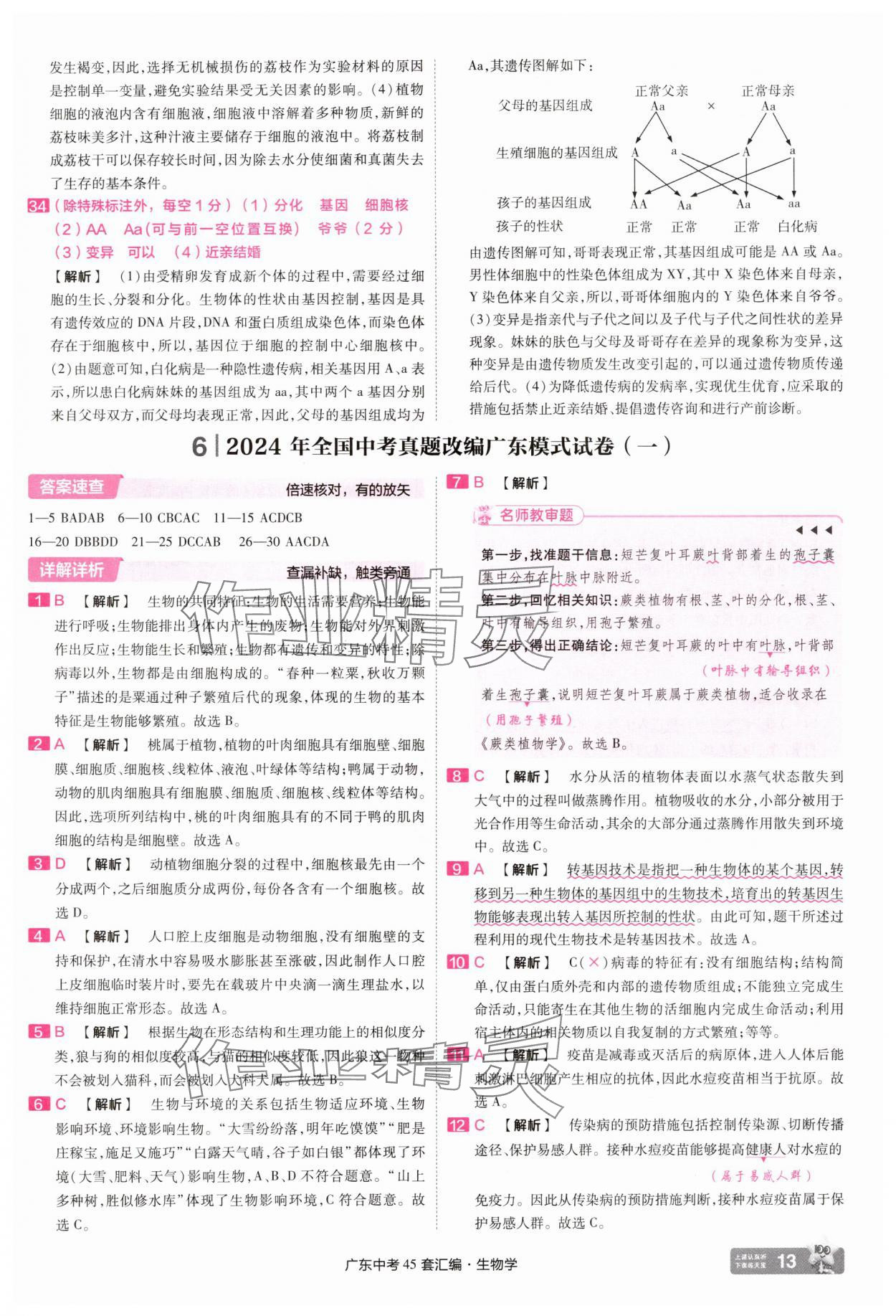 2025年金考卷45套匯編生物廣東專版 第13頁(yè)