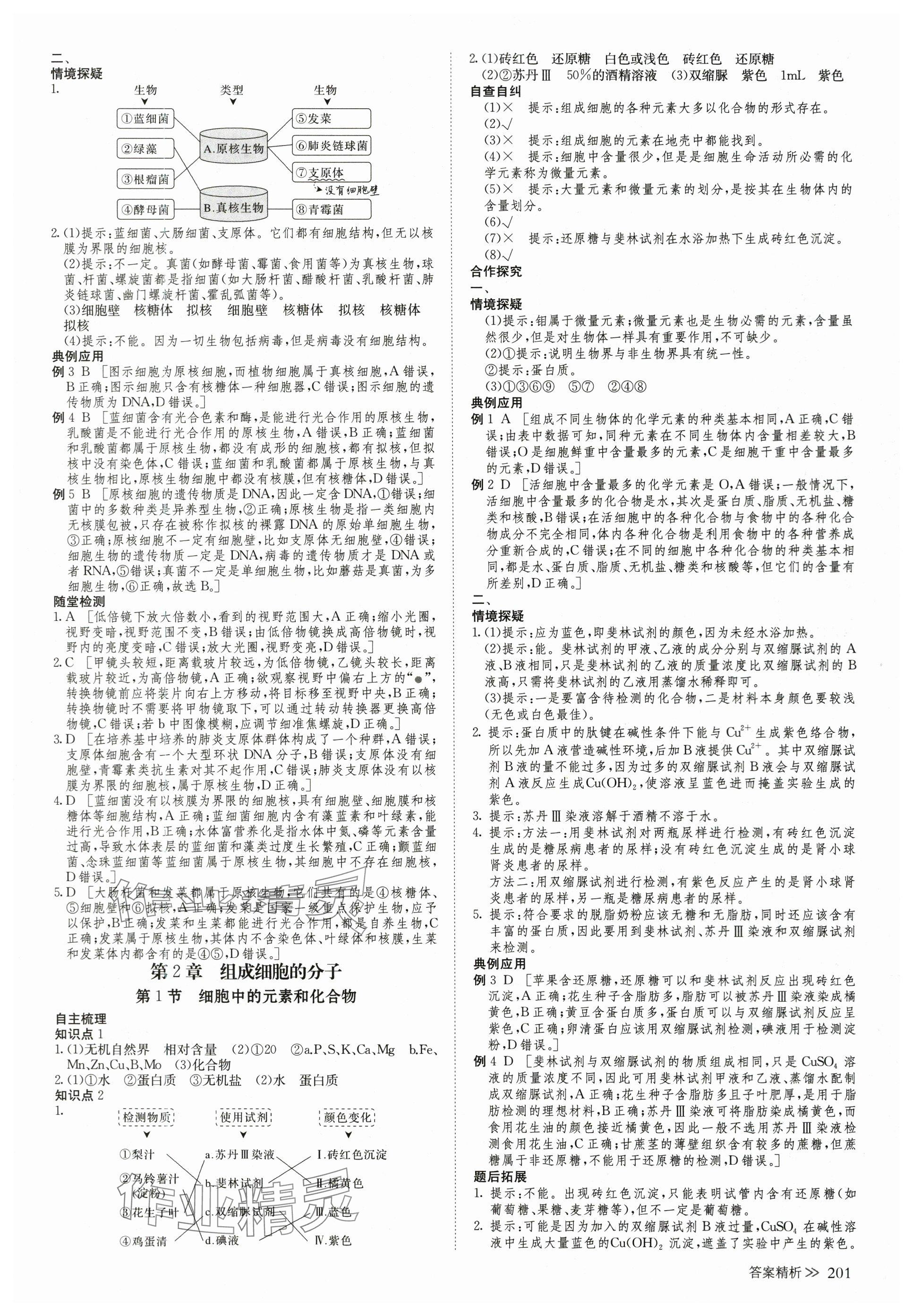 2023年創(chuàng)新設(shè)計高中生物必修1人教版 第12頁