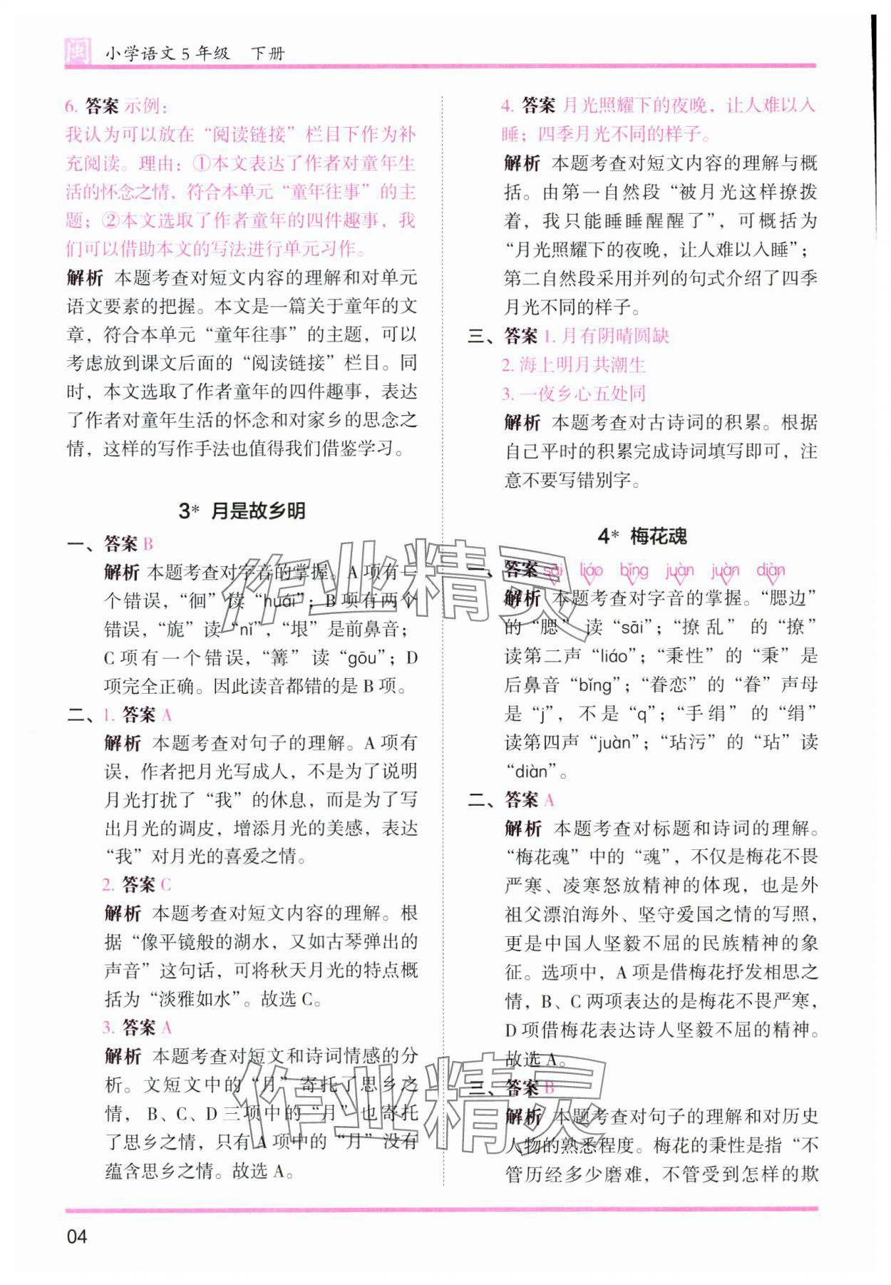 2025年木頭馬分層課課練五年級語文下冊人教版福建專版 第4頁